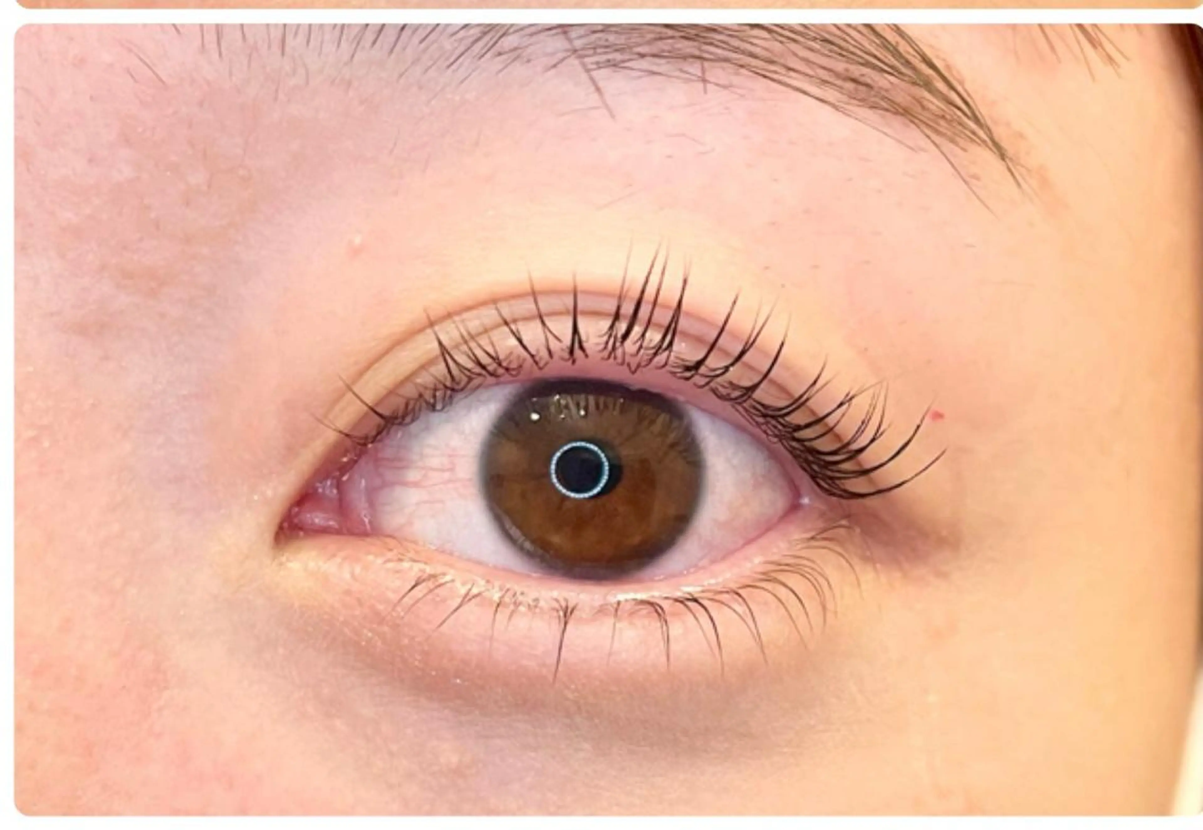 【練習モデル】下まつ毛練習モデル（上まつ毛も施術させて頂きます（アイシャンプー、ケラチントリートメント、コーティング付）の写真