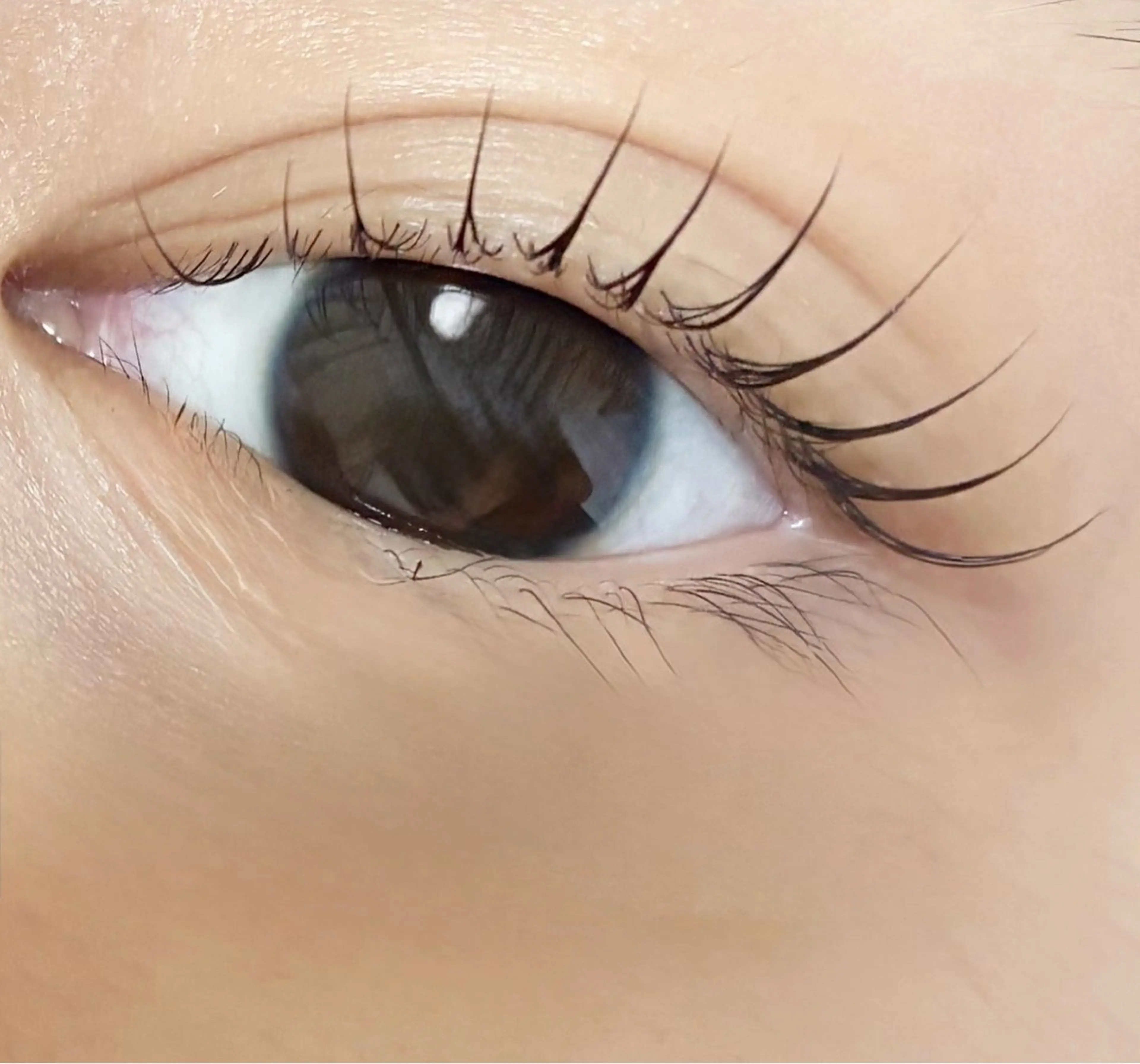 マツエク・マツパ 韓国風マツエク aien yuのマツエク・マツパデザイン