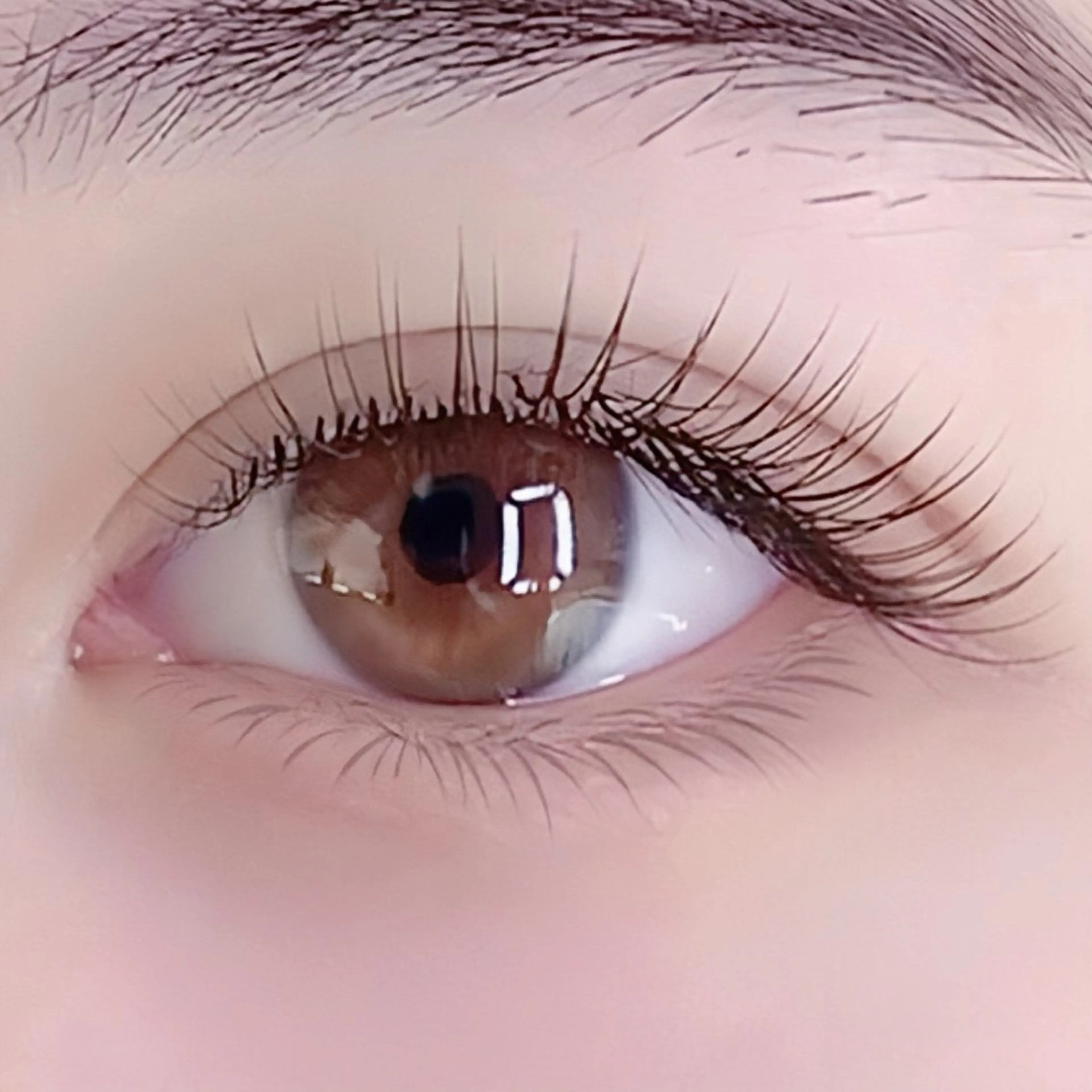 ᥫᩣフラットラッシュ60/80本🫧2200/2700【オフ不可､付けだしOK】の写真