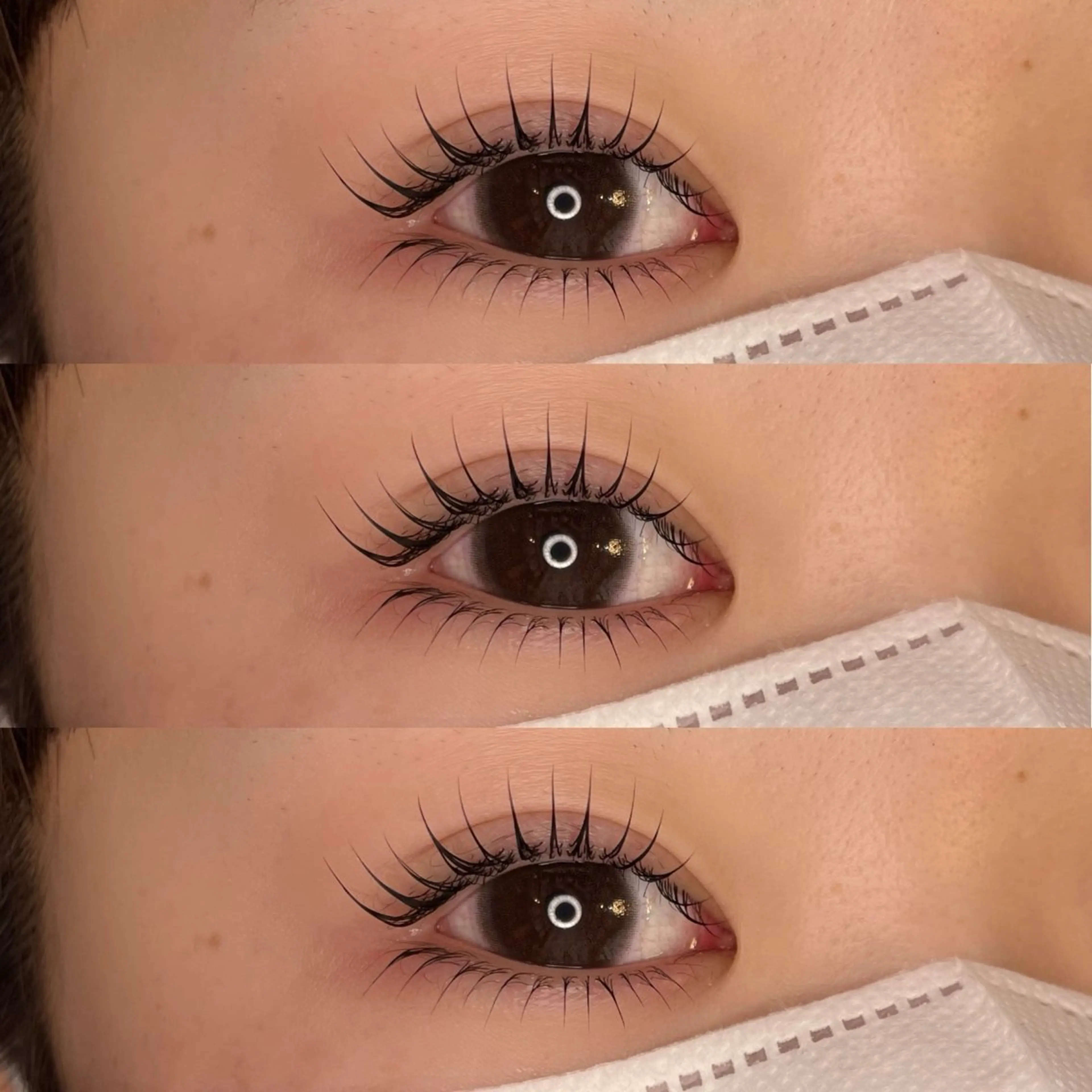 【初回限定メニュー❗️】上下似合わせまつ毛パーマ美容液仕上げ💘の写真