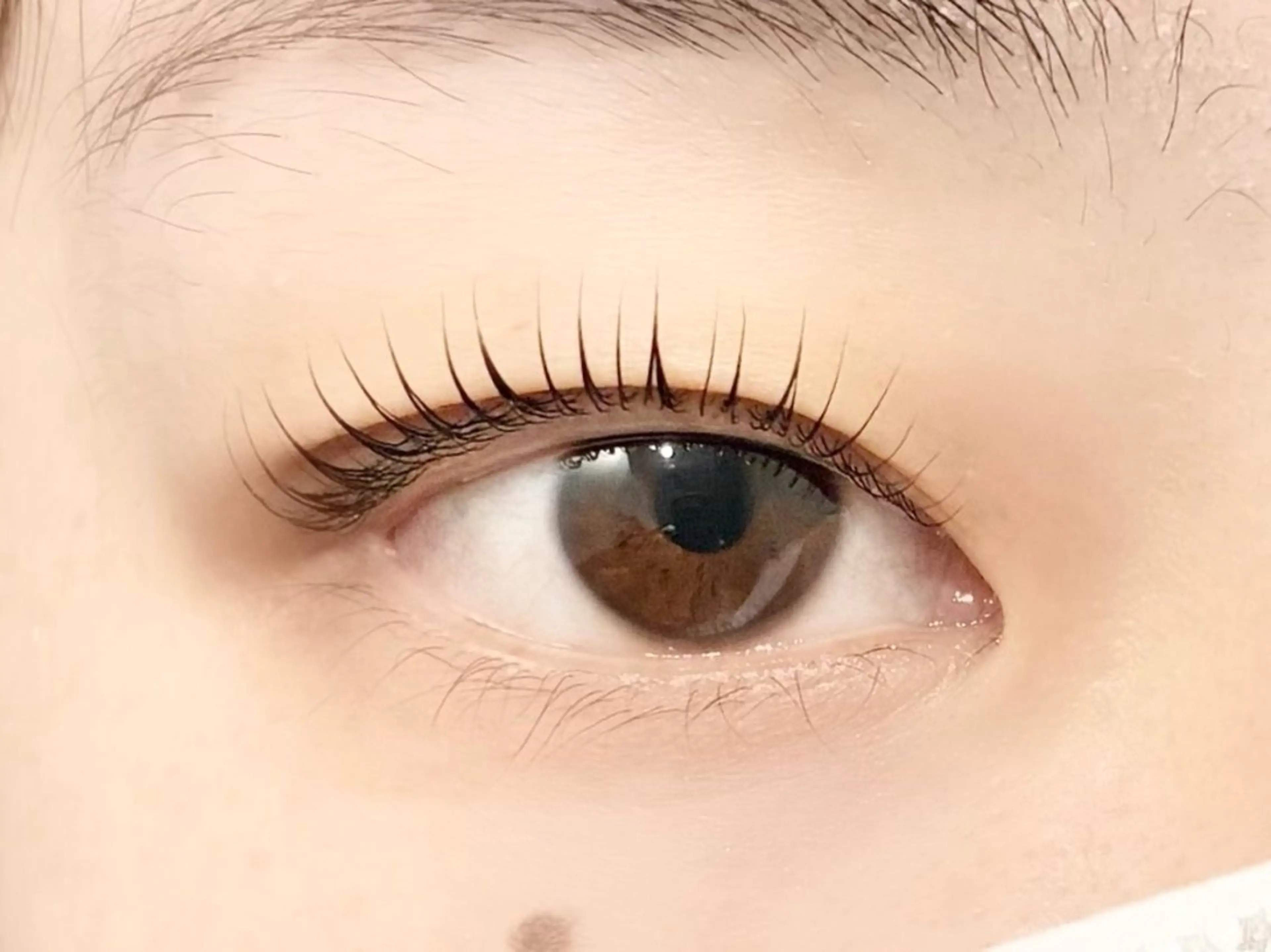 マツエク・マツパ マツパ 中村彩香 (エフドゥ)のマツエク・マツパデザイン