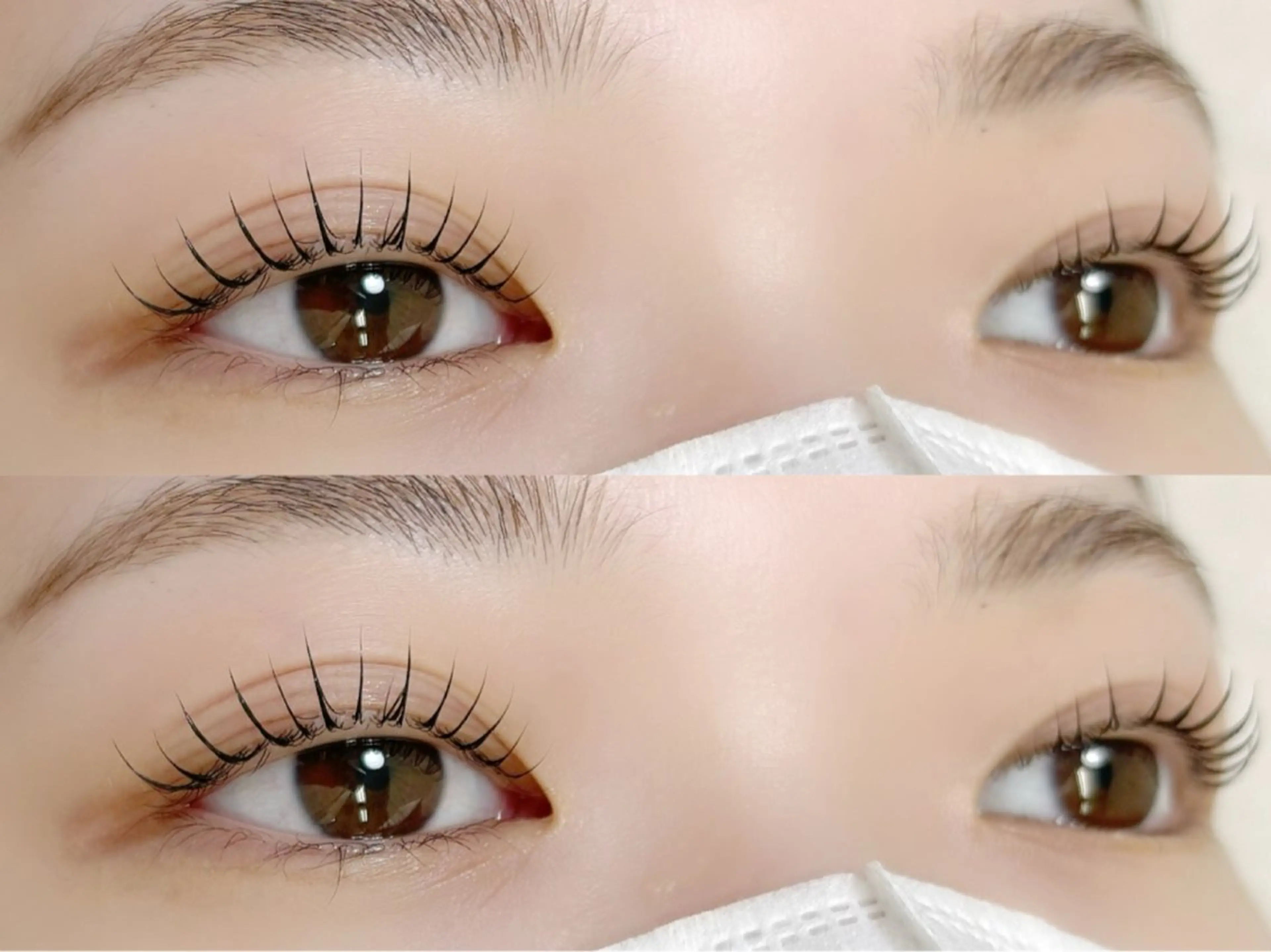 ご新規様限定👑ラッシュリフト(まつ毛パーマ)¥4000→¥3500の写真