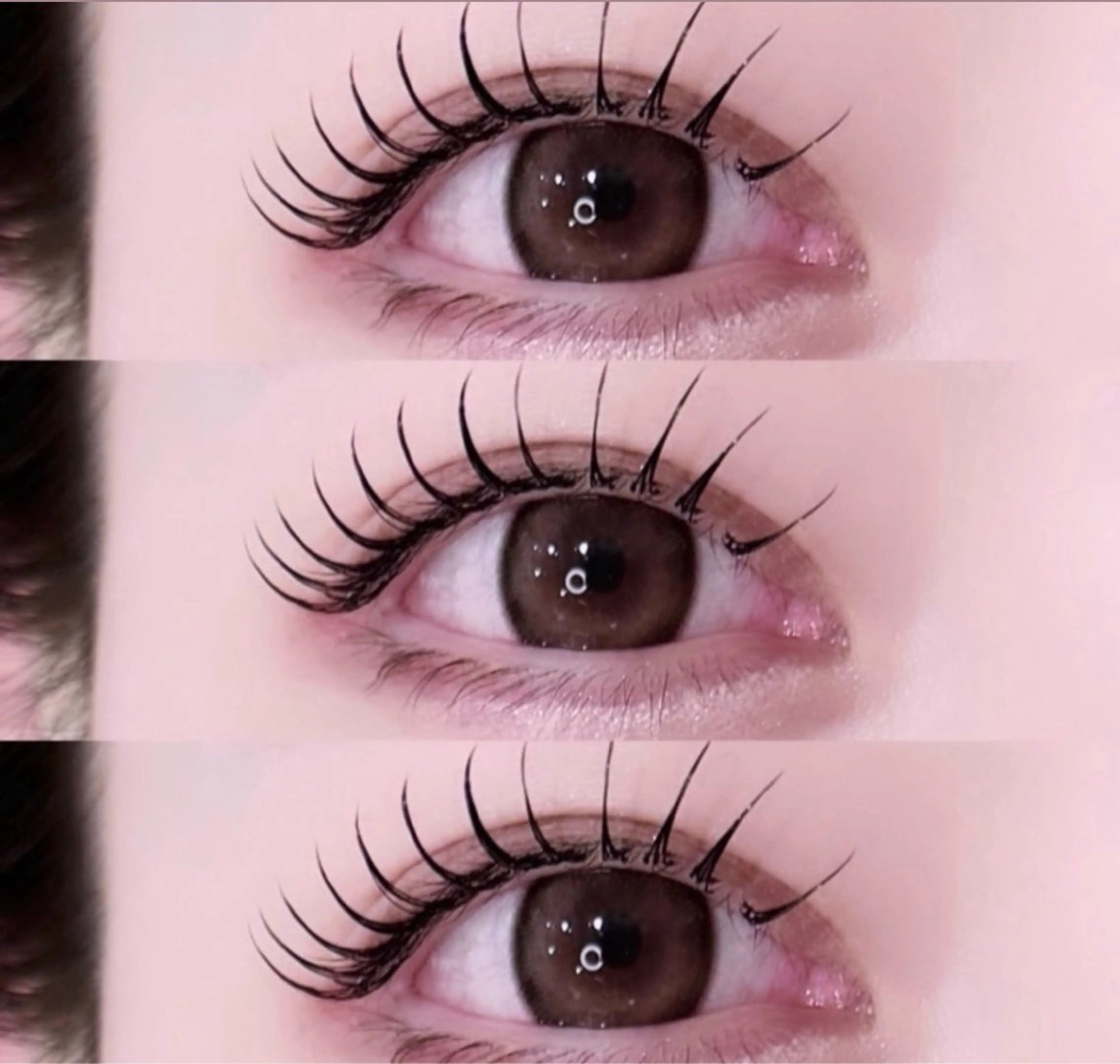 最新✨LEDエクステ100本の写真