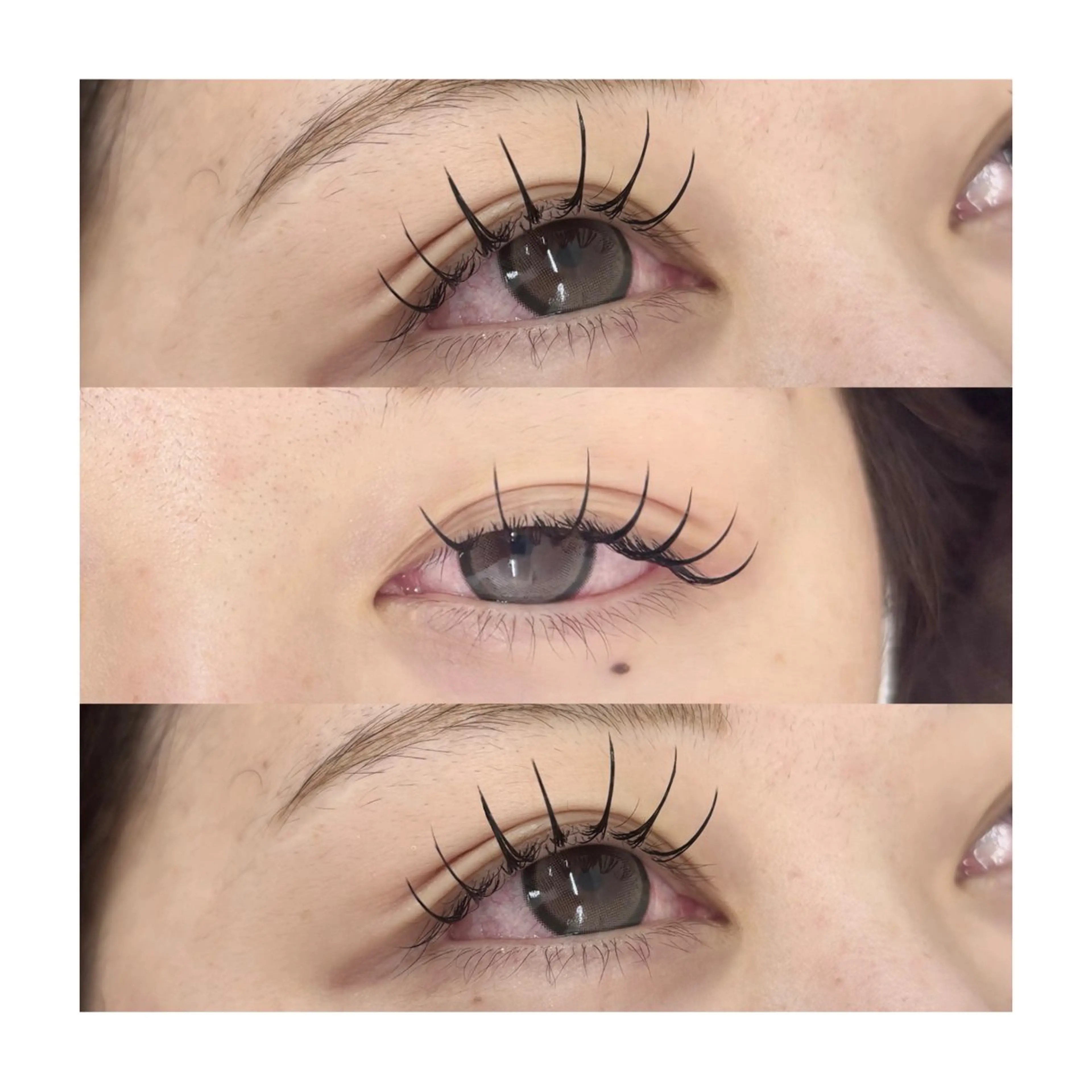 マツエク・マツパ Cカール キュート フラットラッシュ マツエク 【EYELA】 Cocona𝜗𝜚のマツエク・マツパデザイン