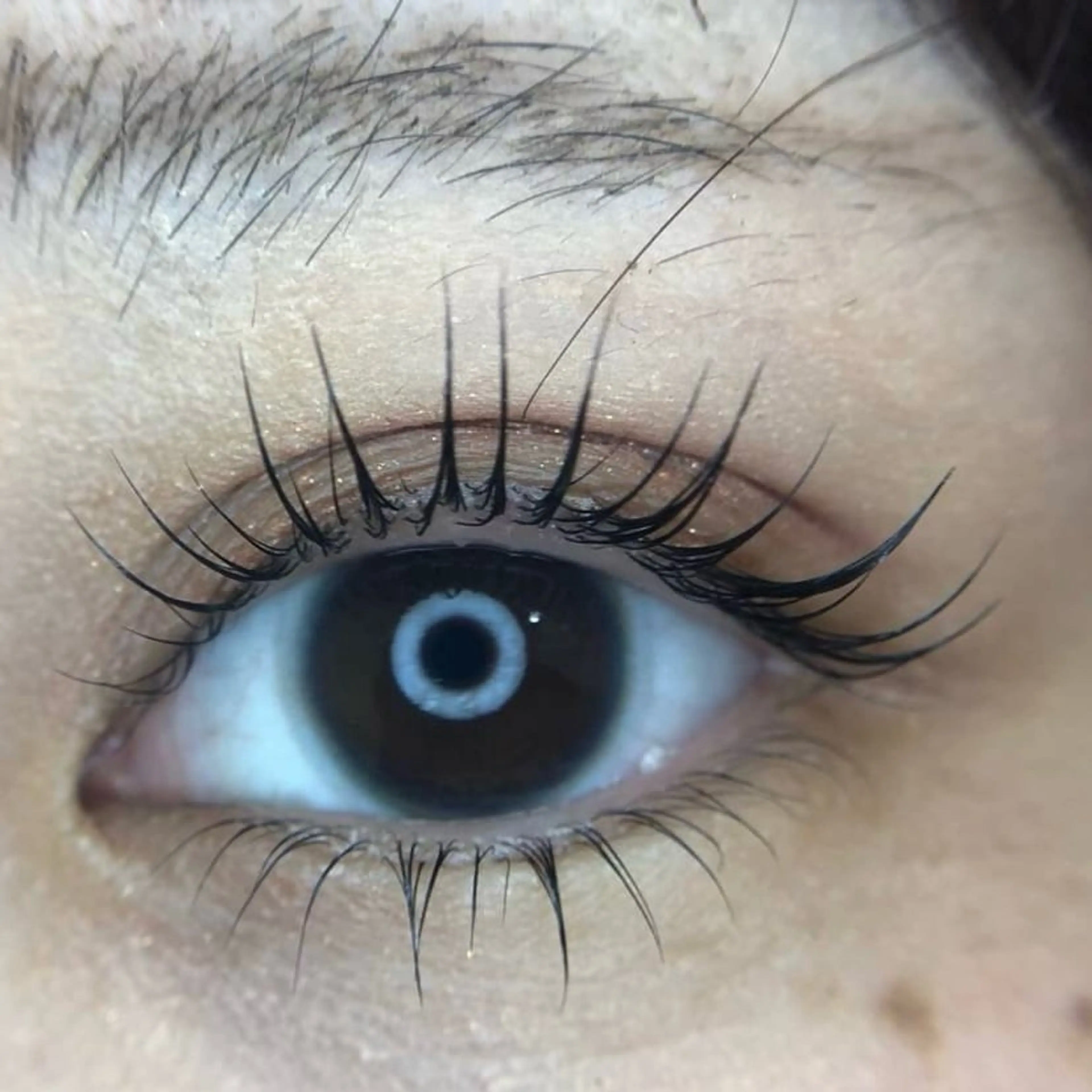 マツエク・マツパ パリジェンヌラッシュリフト 一重×まつ毛パーマ メゾンドシャルム NISHIKAWAのマツエク・マツパデザイン