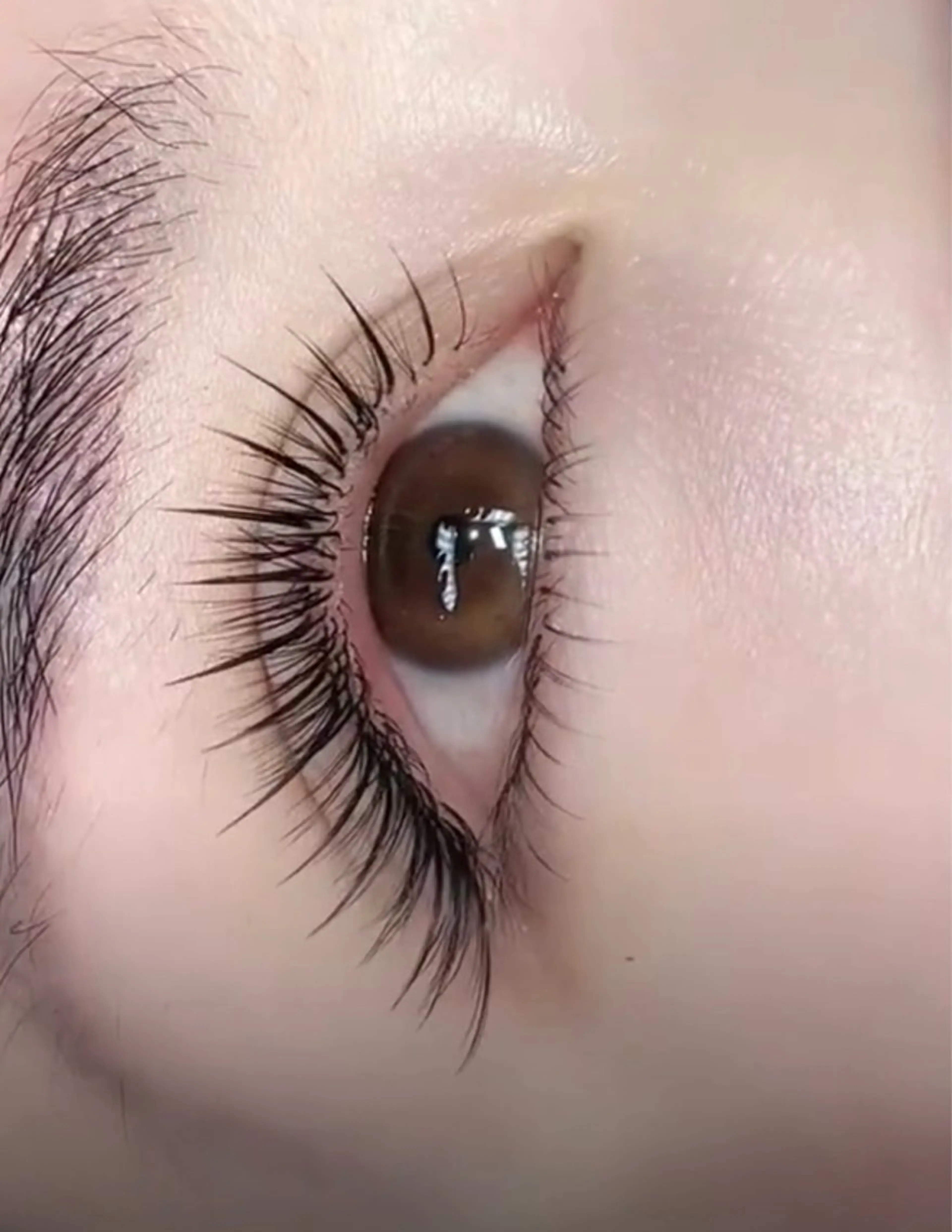 マツエク・マツパ マツエク Mi Waのマツエク・マツパデザイン