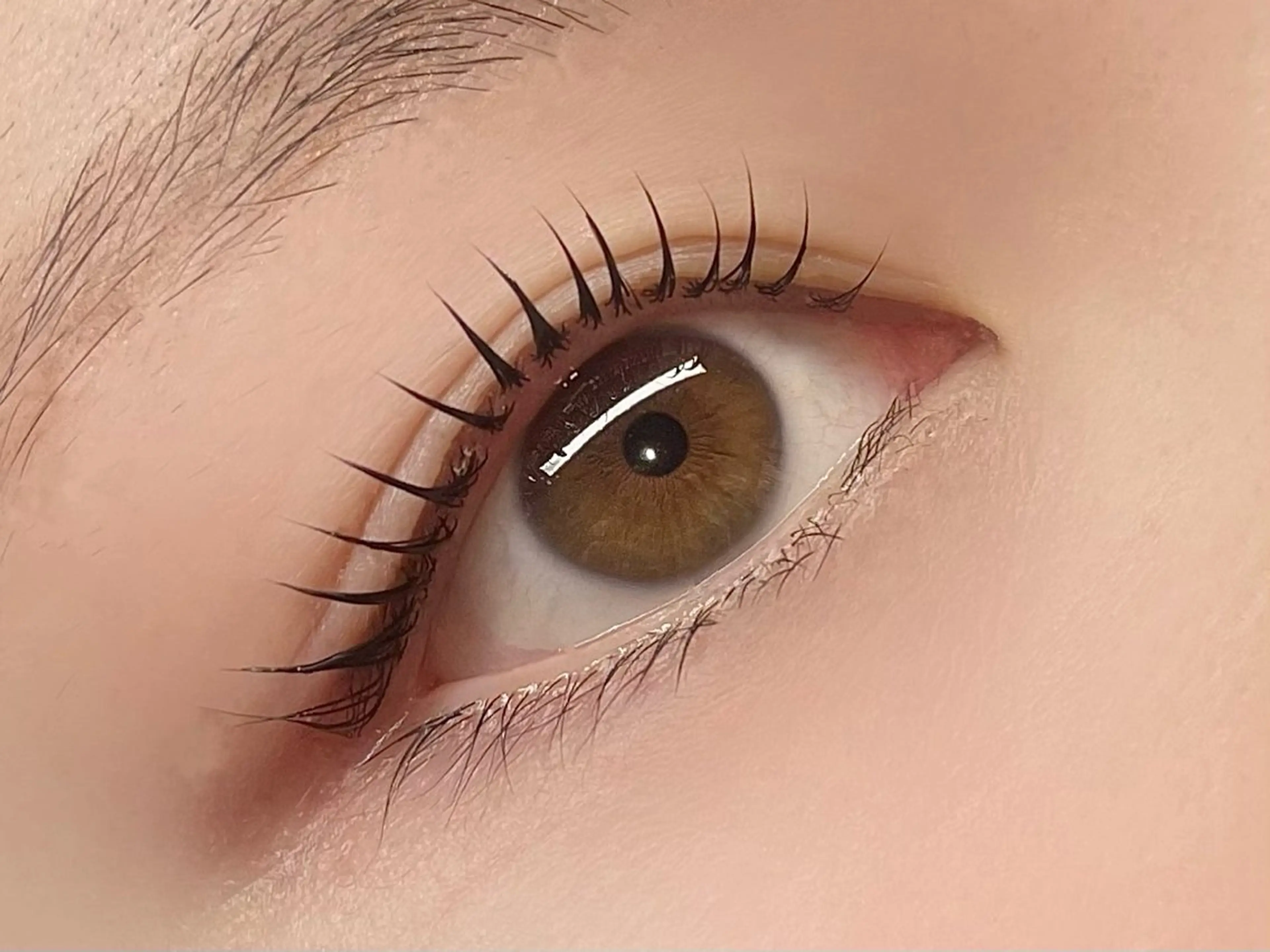 マツエク・マツパ マツパ ANNE梅田 GRACE店所属・ANNE chizuのマツエク・マツパデザイン