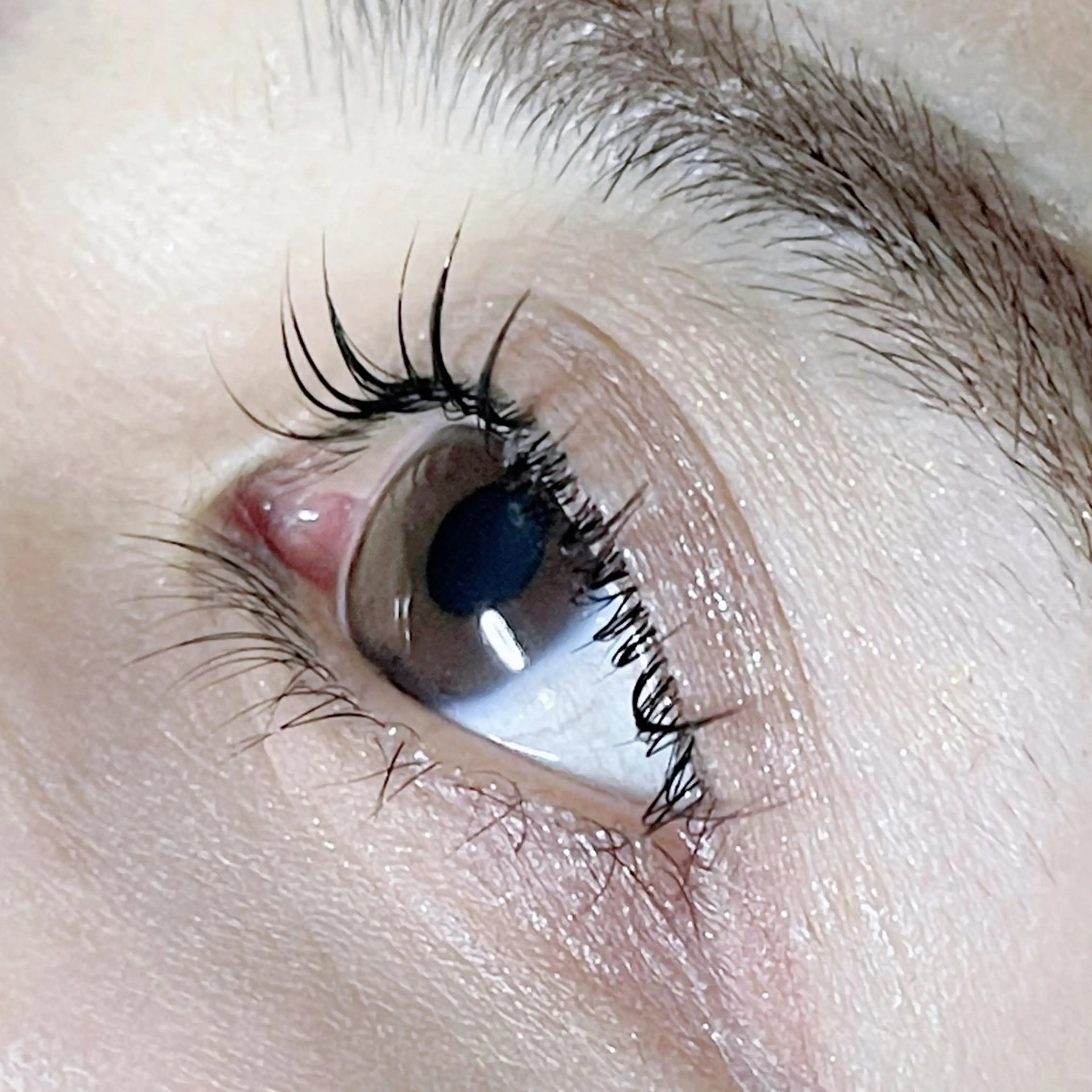 マツエクオフのみ(上のみ)下オフ追加は+¥1000、+15分になります。の写真