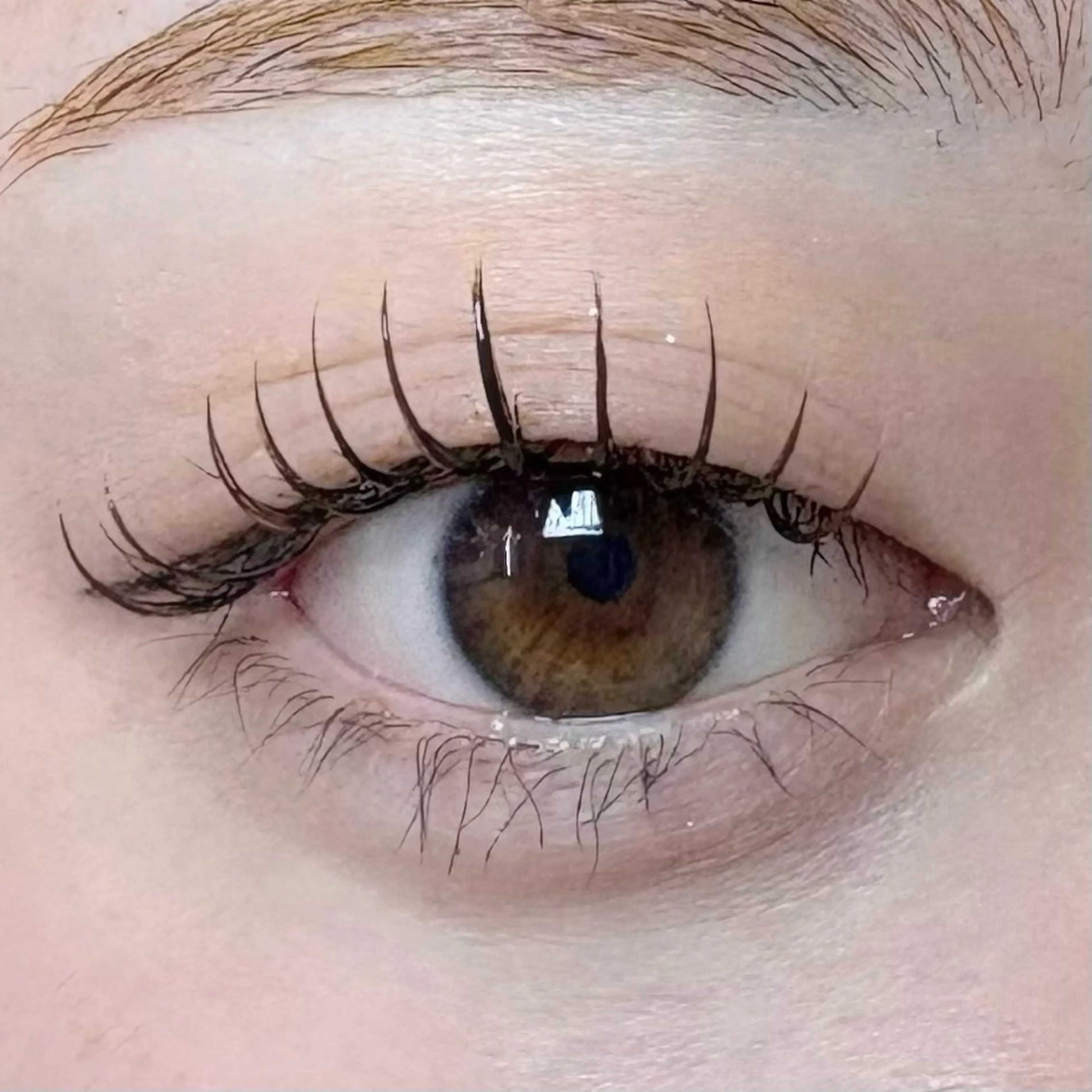 マツエク・マツパ ブラウンラッシュ カラーマツエク マツエク Seek🎀 Aoiのヘアスタイル