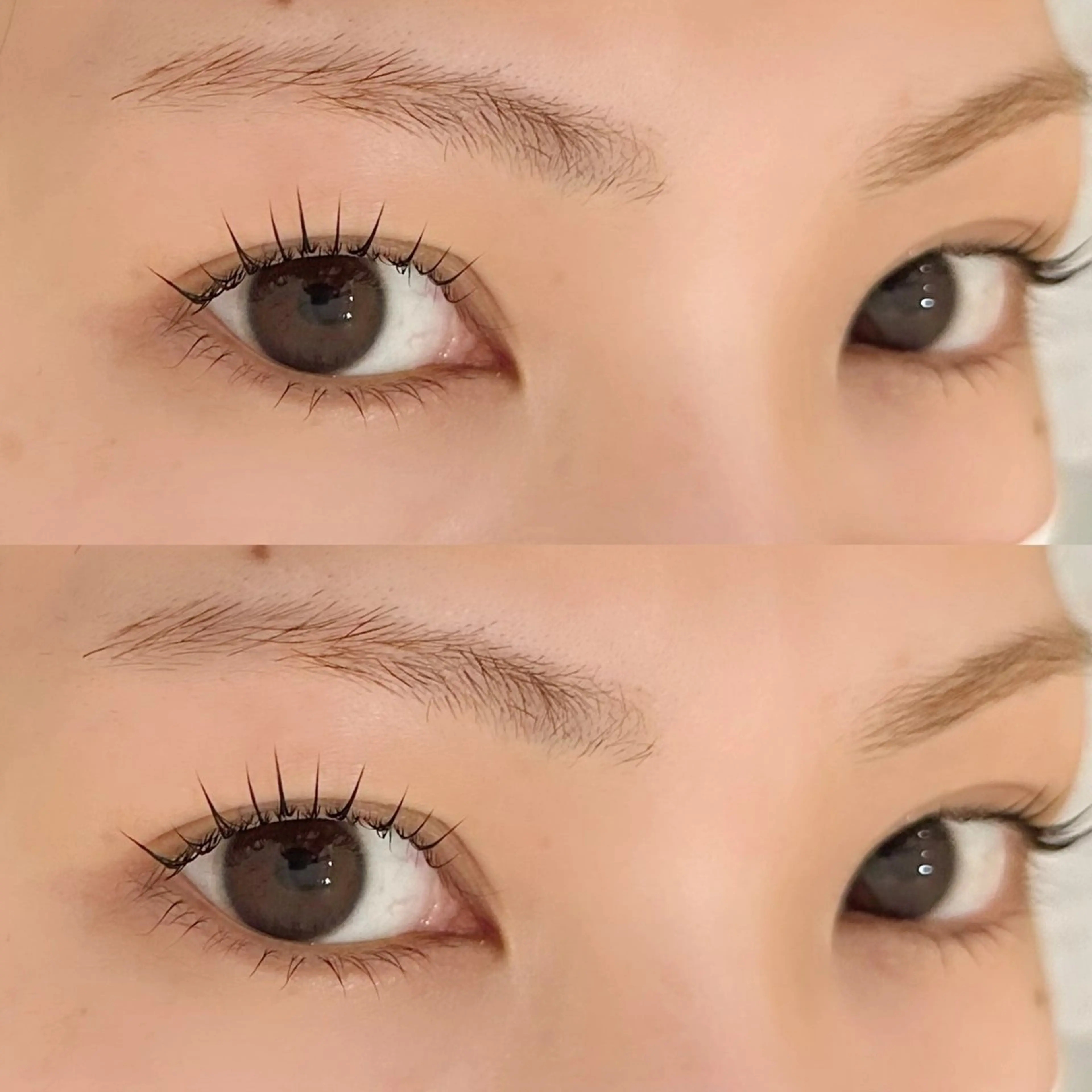 マツエク・マツパ マツパ lash room 🌼 miyabiのマツエク・マツパデザイン