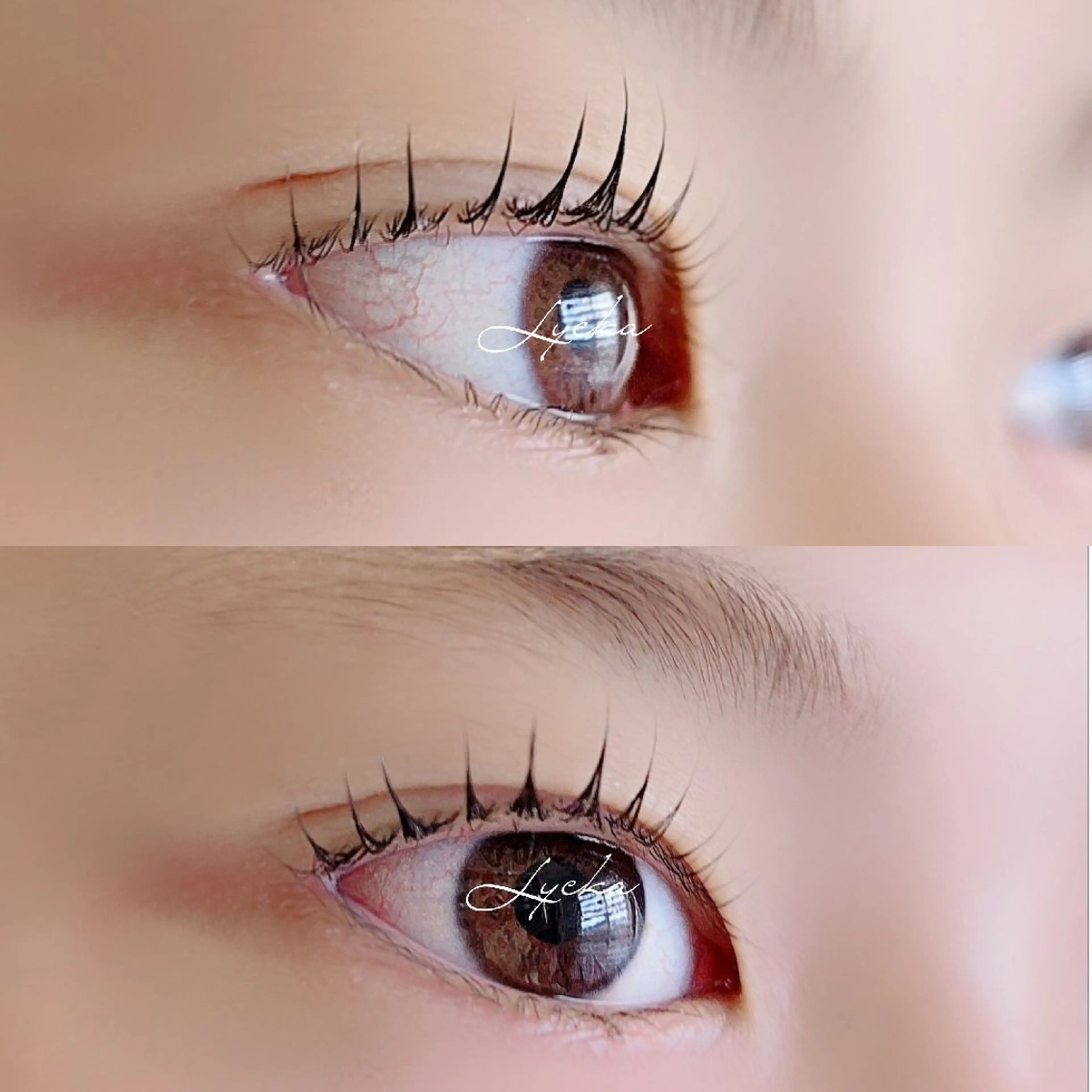 マツエク・マツパ lash&brow Lyckaのマツエク・マツパデザイン