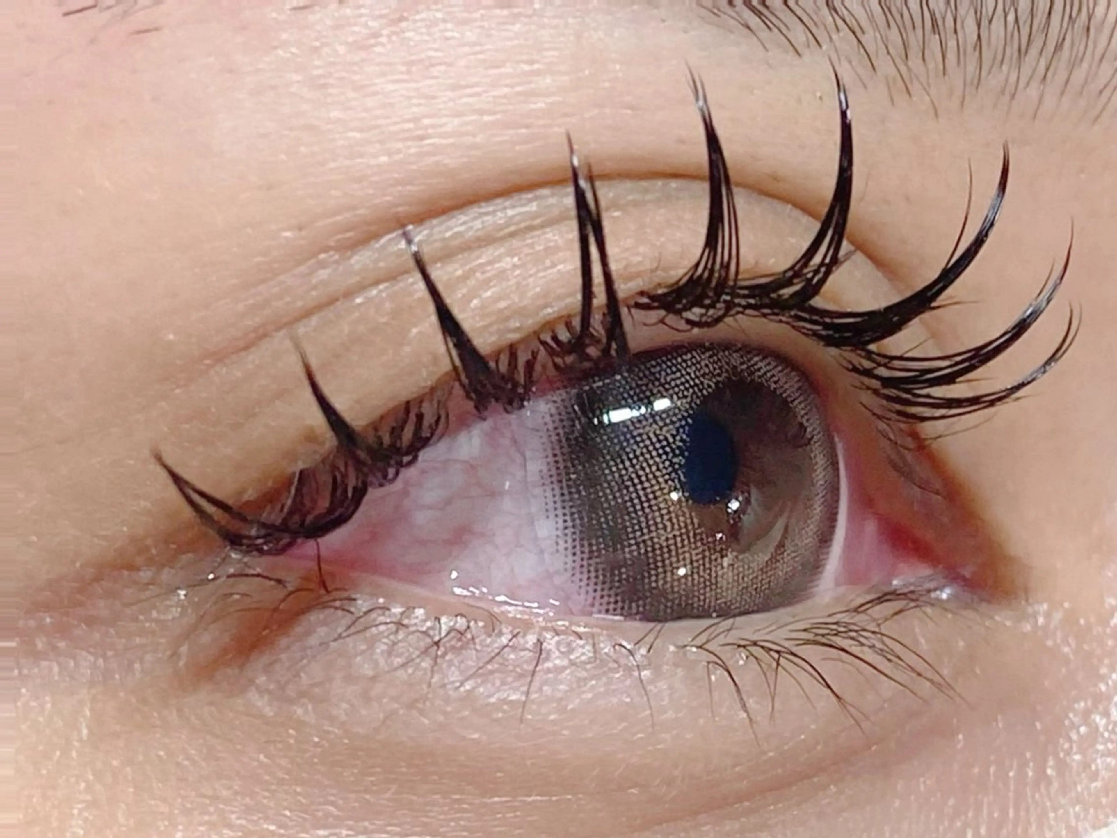 マツエク・マツパ マツエク ungu 直江のマツエク・マツパデザイン