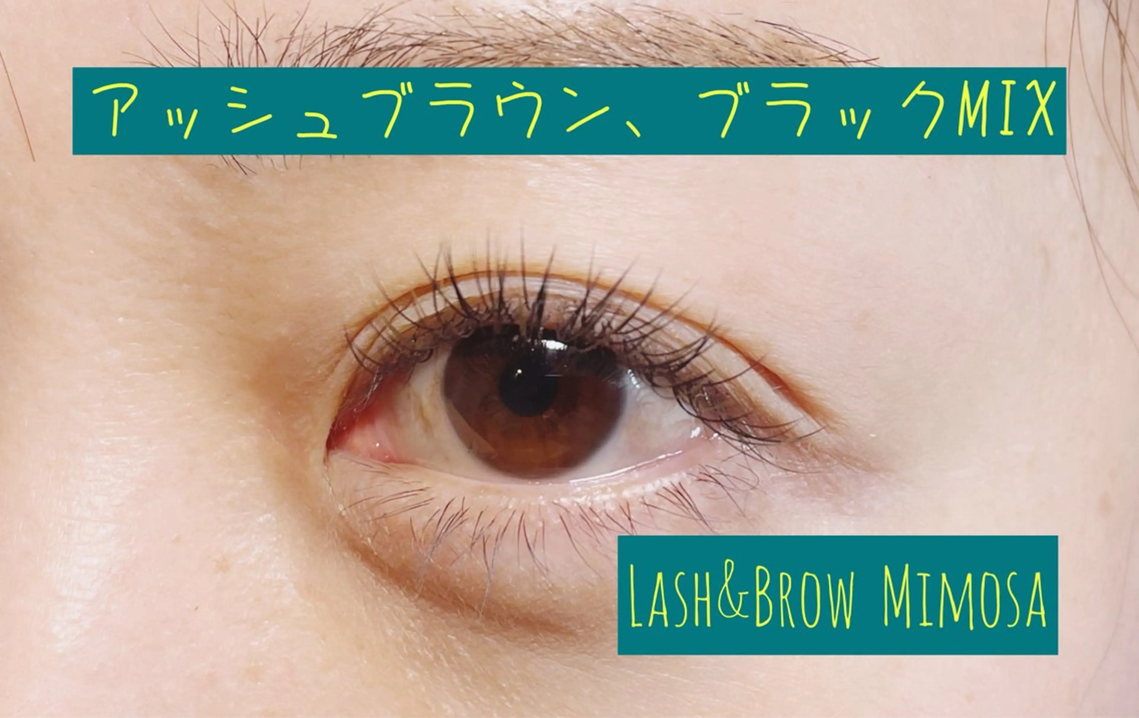 マツエク・マツパ カラーマツエク Lash&Brow Mimosaのマツエク・マツパデザイン