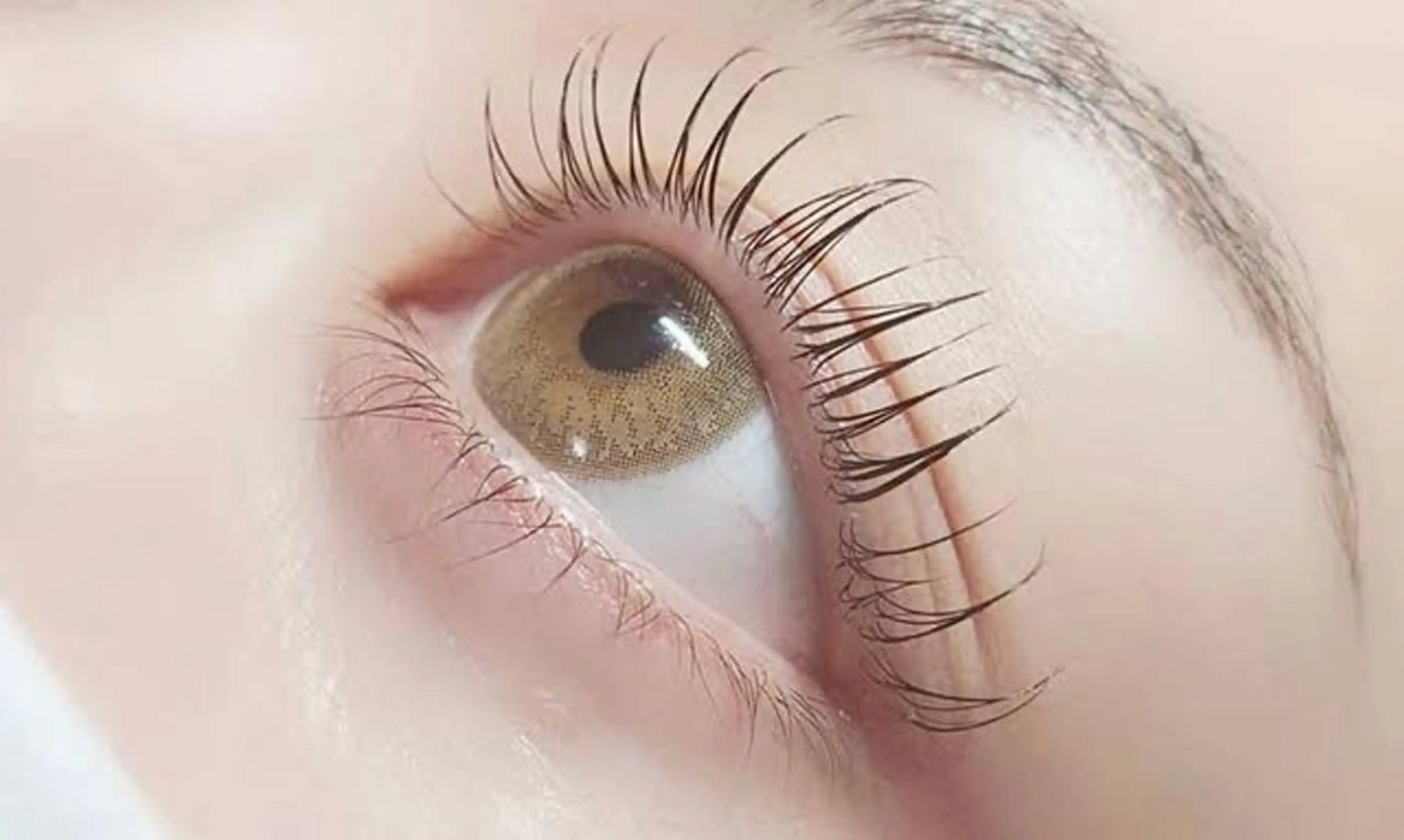 まつげパーマの写真