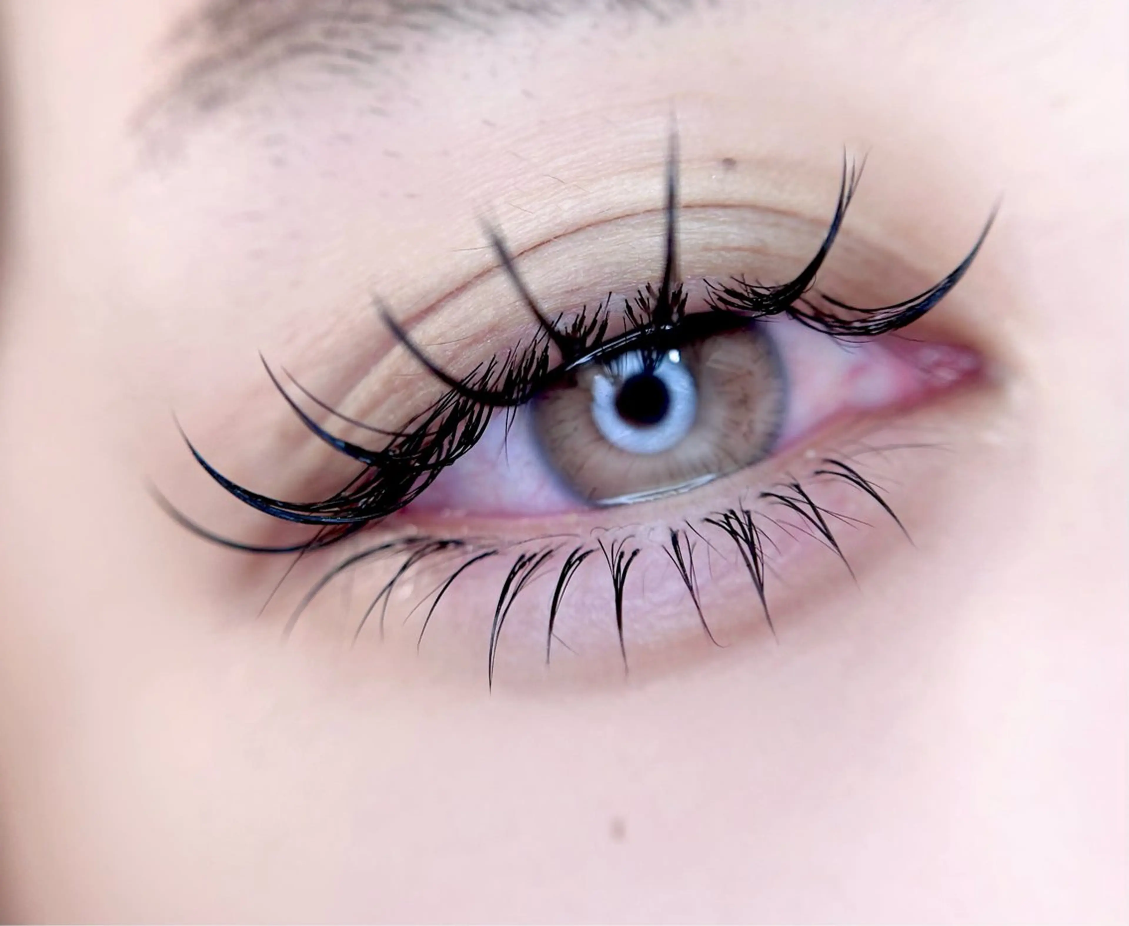 【当日予約限定】【初回オフ無料】LEDフラットラッシュ100本¥5500→¥5300の写真