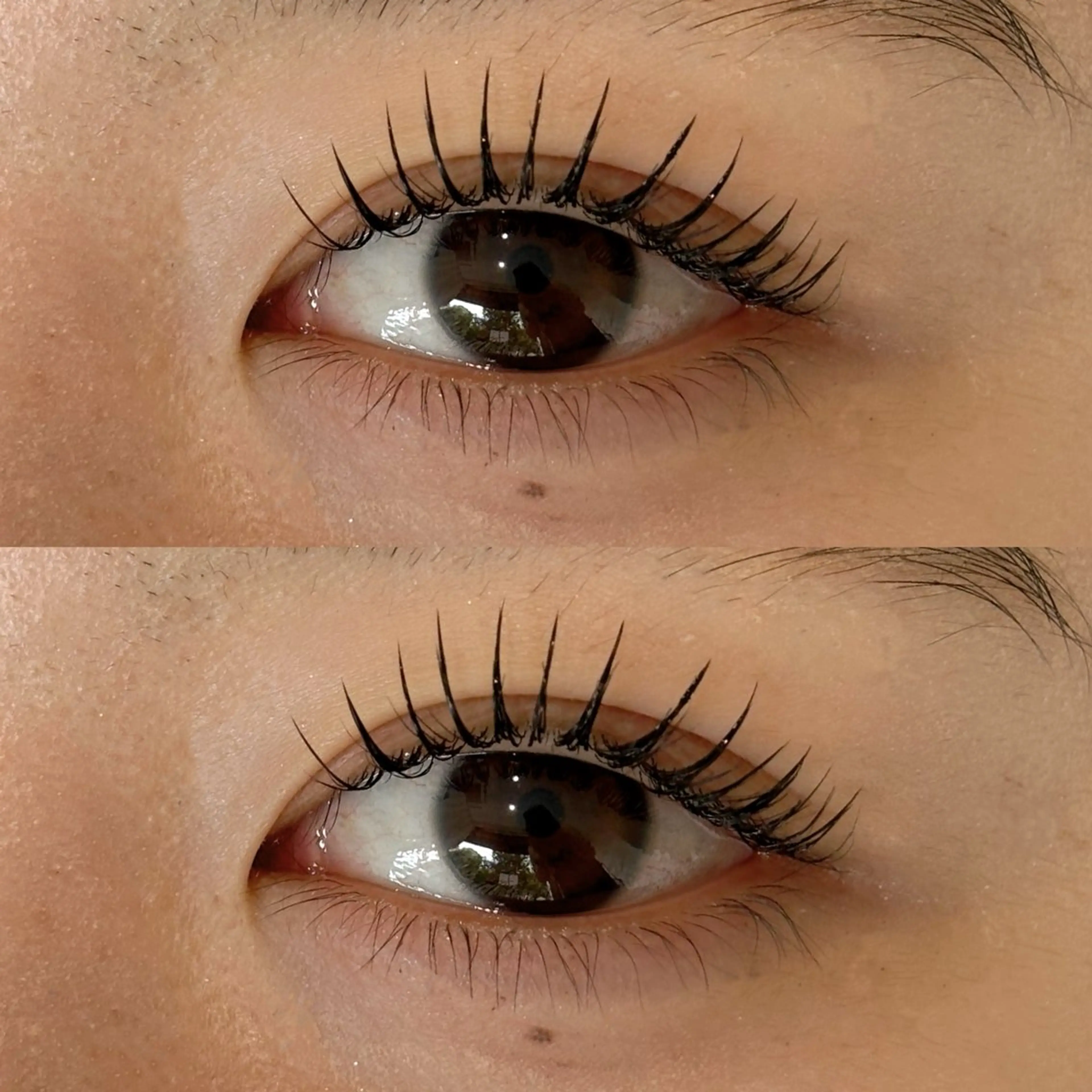 【マツエクで立ち上げ！？】100本🌟　　　　　LEDマツエク×話題のLカール　　　　　　　持続力◎瞳に影を作らない💡の写真