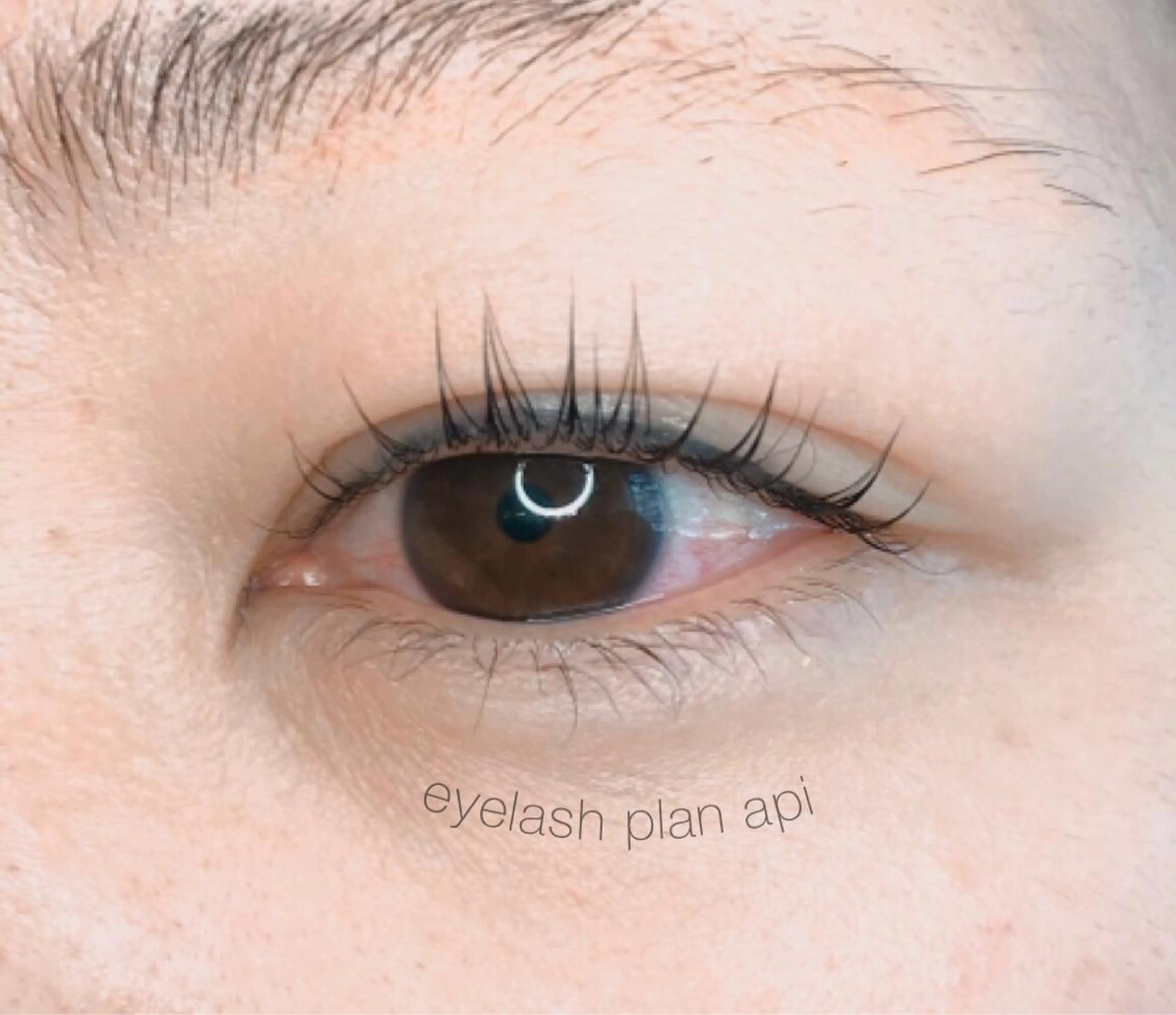 マツエク・マツパ 《eyelash ｉｉｔｅ》森のマツエク・マツパデザイン