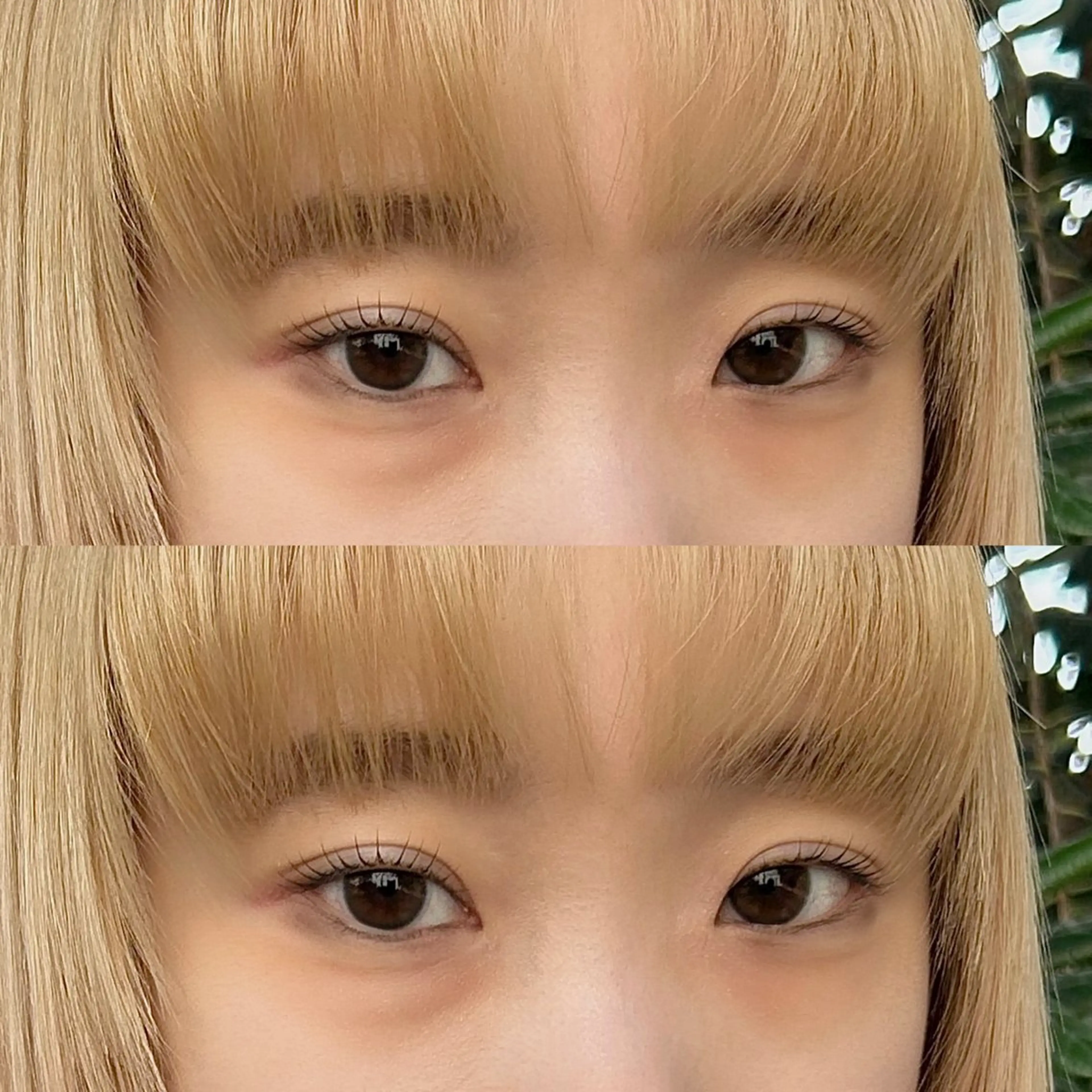 限定♡最新韓国トレンド♡束感 マスカラパーマ🪽まつ毛パーマ後にブラックティントでマスカラを塗った濃さに🖤の写真