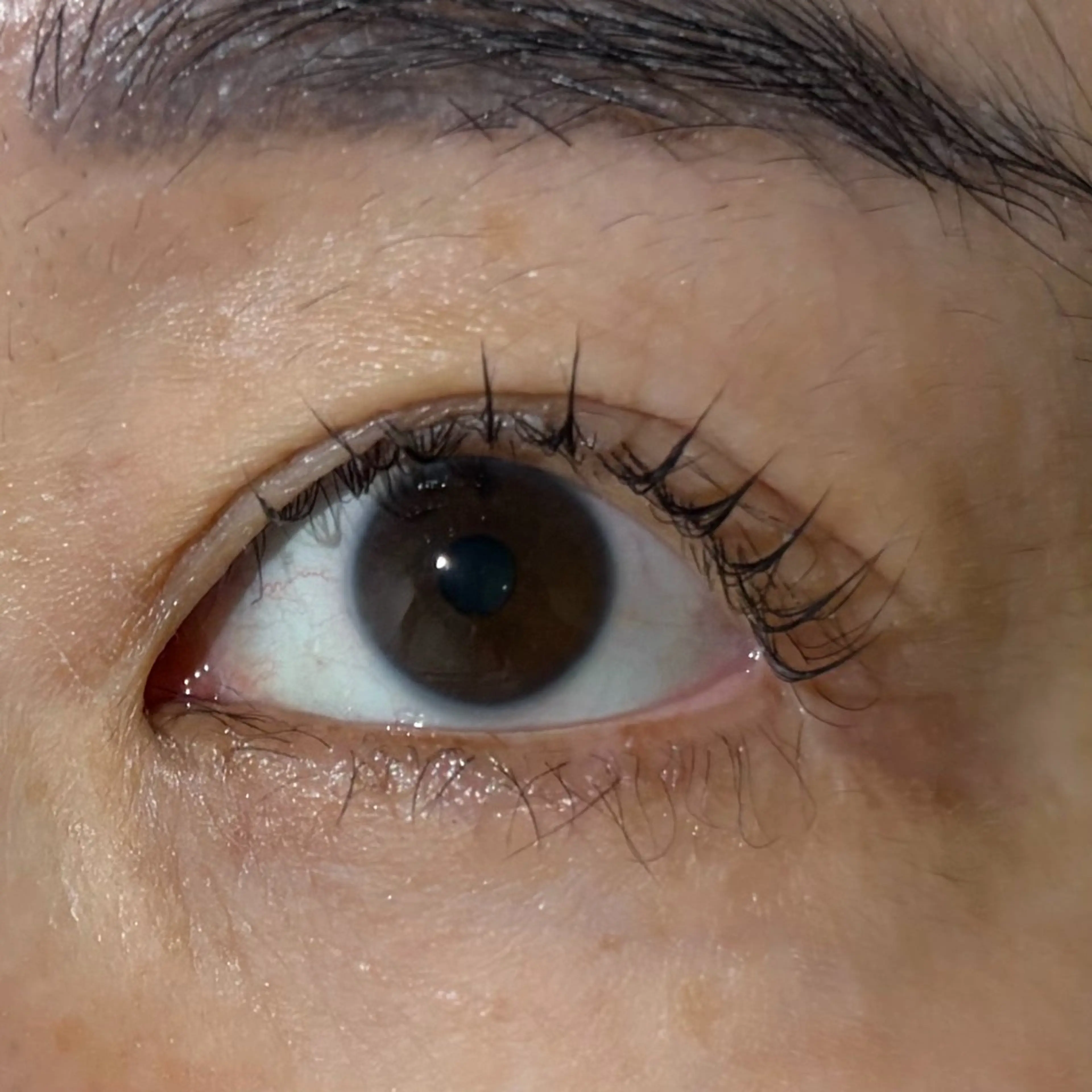 マツエク・マツパ マツパ ななみ.⋆𝜗𝜚 暖色艶カラー/まつパのヘアスタイル