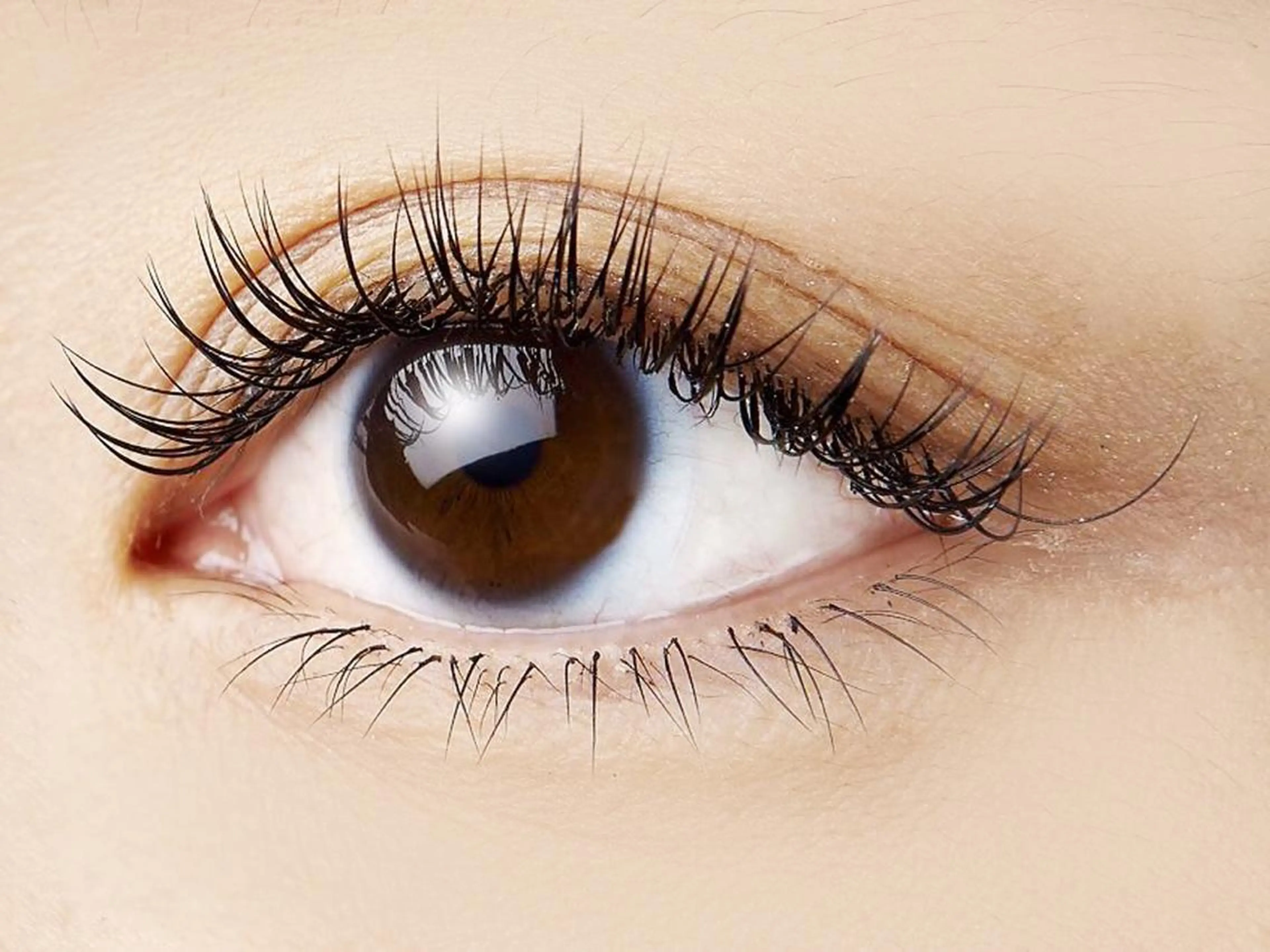 マツエク・マツパ 付け放題 服部 祐美子のマツエク・マツパデザイン