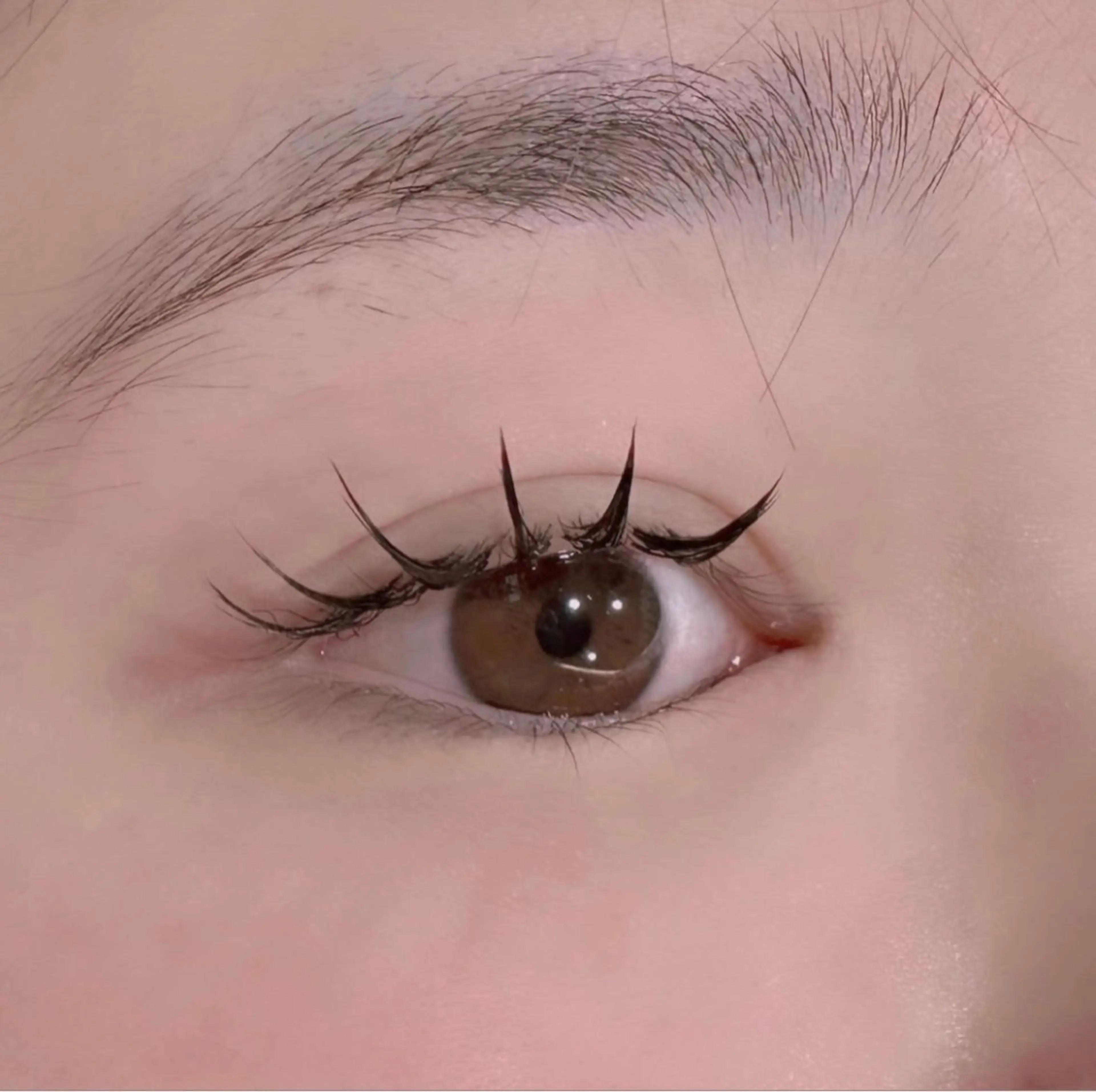 マツエク・マツパ hair&eye🎀 /momoKaのヘアスタイル