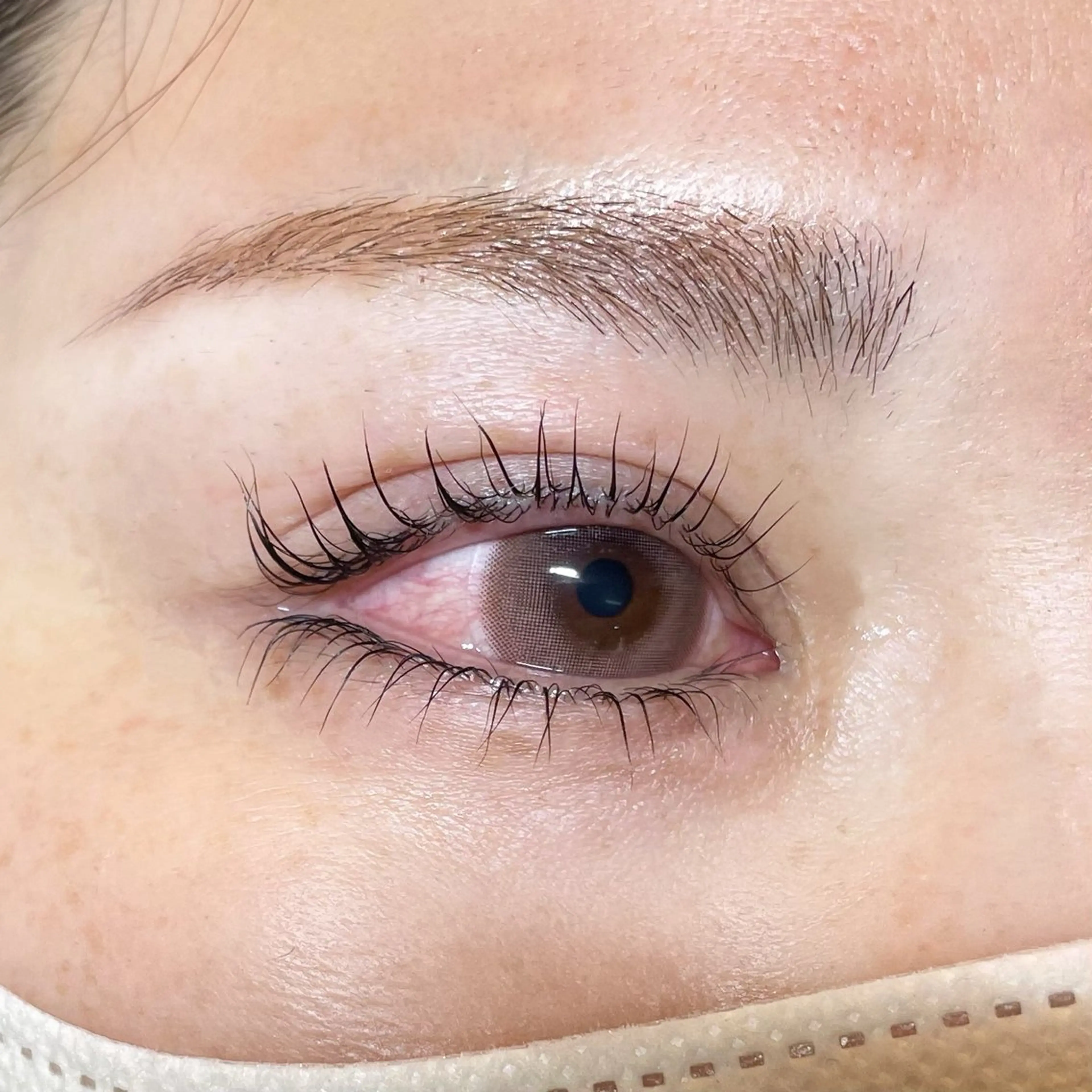 ✨🦋‪上下まつ毛パーマ🦋‪✨【コーティング込︎💕︎】の写真