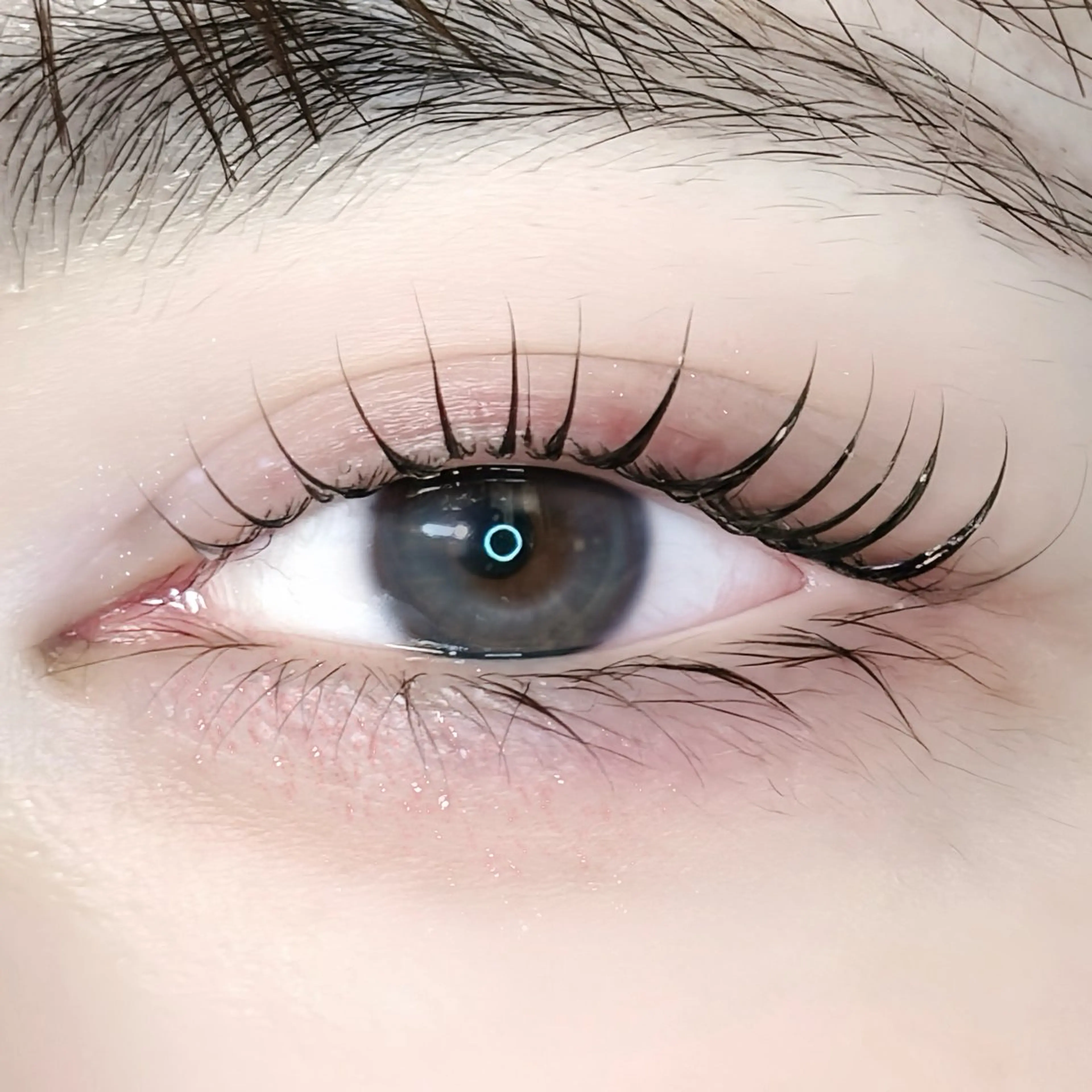 マツエク・マツパ 束感まつ毛 韓国風マツエク ナチュラル まつげパーマ 🩶LED＆ダブル フラットRAN🪽のマツエク・マツパデザイン