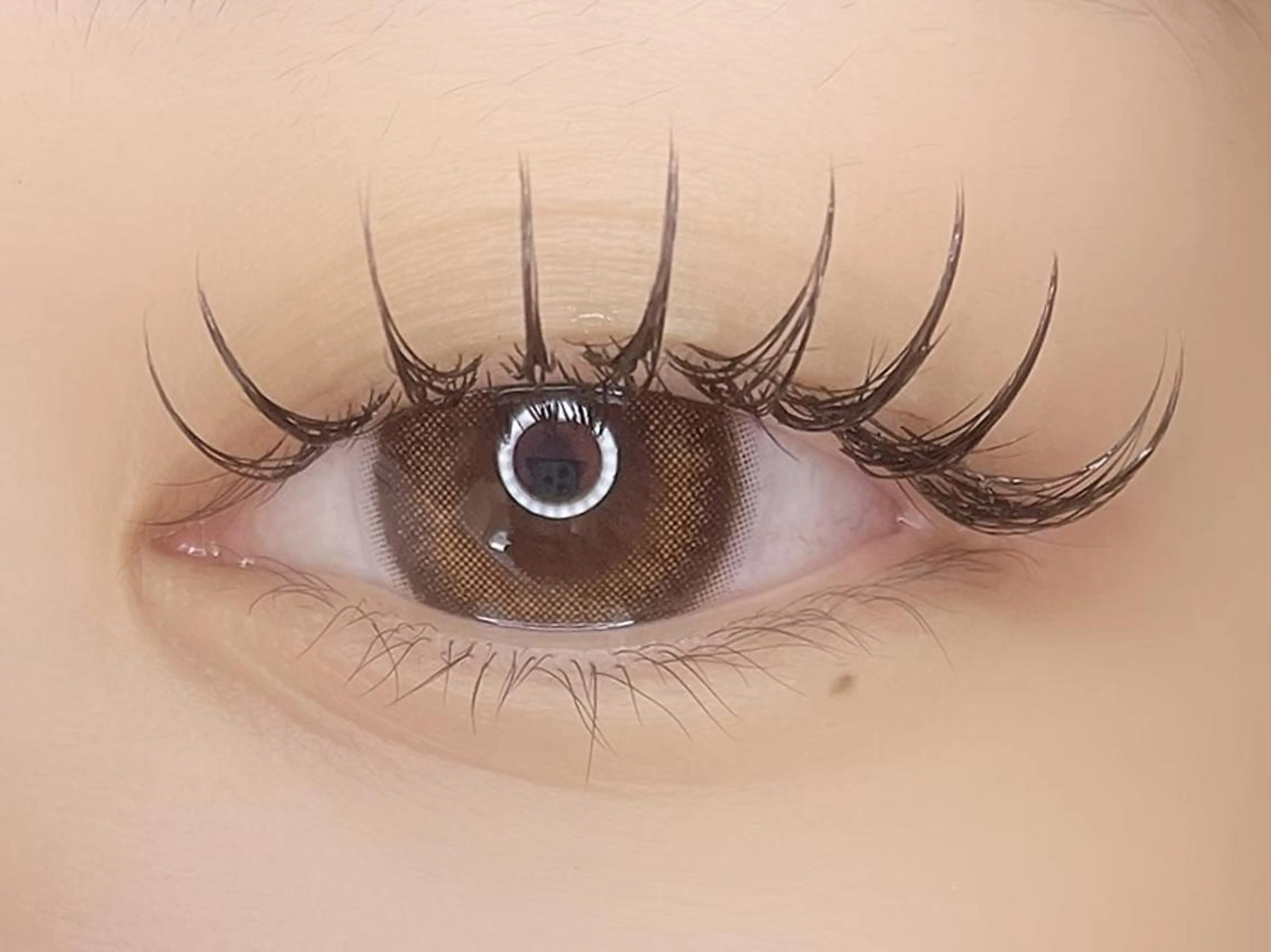 フラットラッシュ120本✨オフ込みの写真