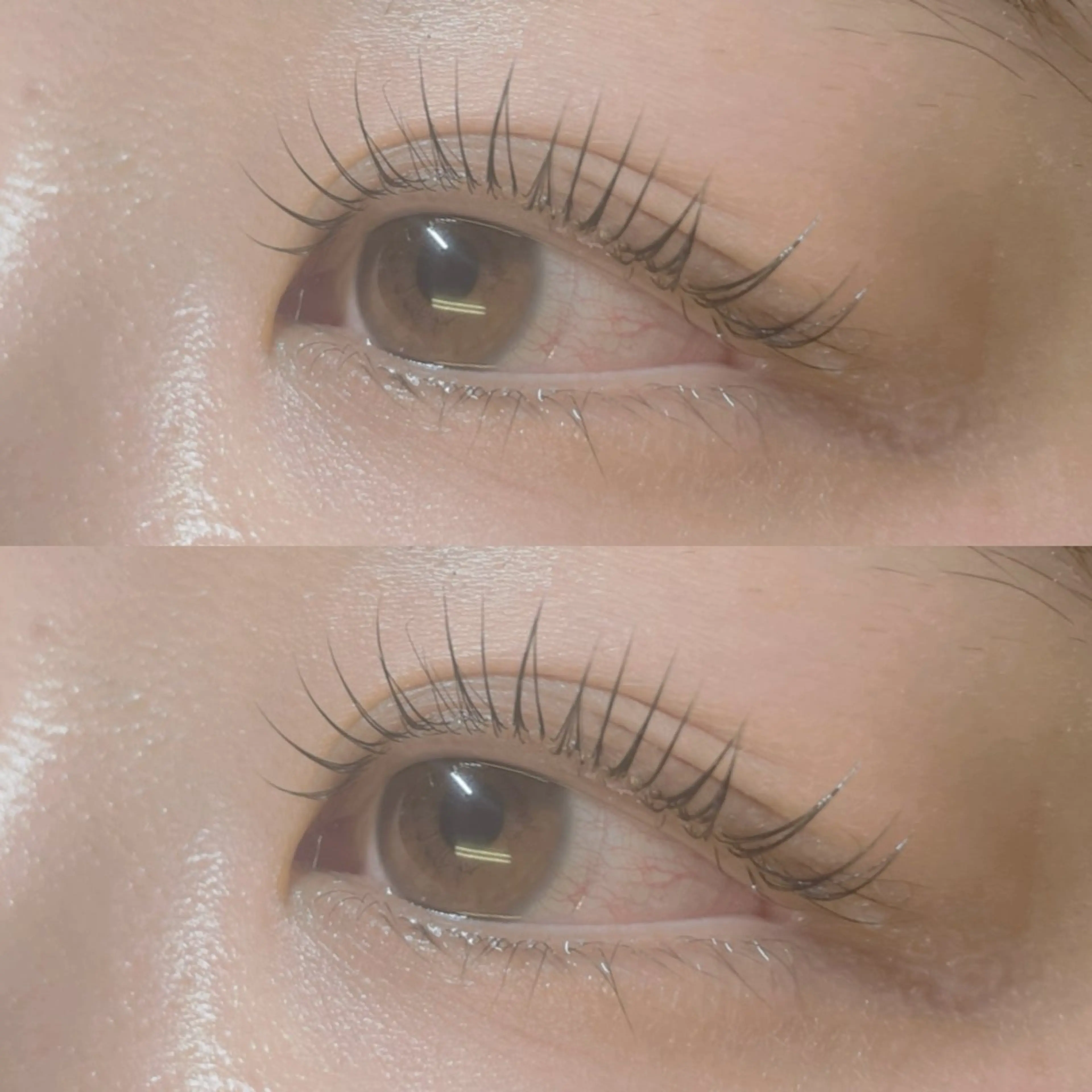 マツエク・マツパ マツパ リフュージュ　隠れ家所属・リフュージュ🌷 カホのマツエク・マツパデザイン