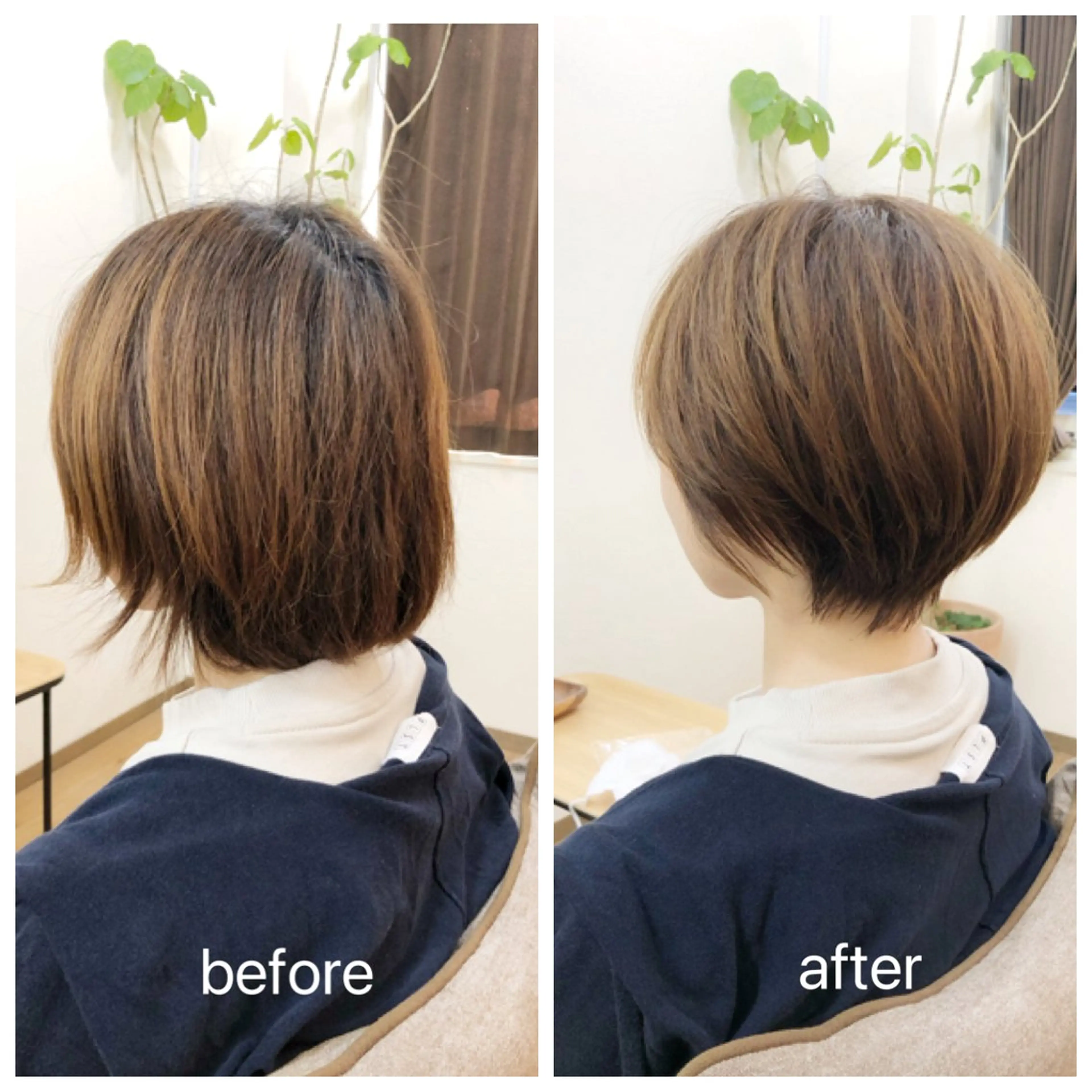 ショート カラー nest  のヘアスタイル