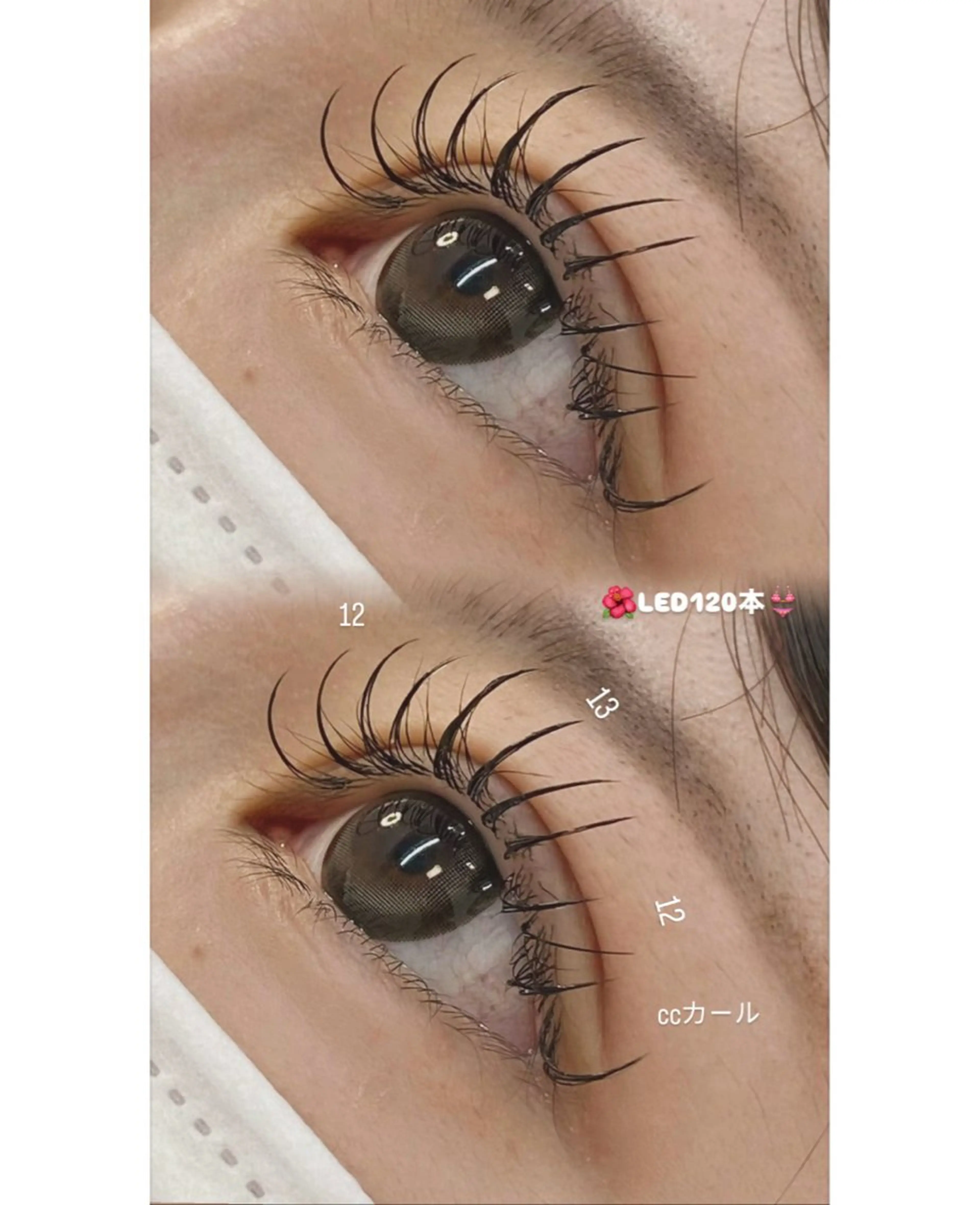 マツエク・マツパ EYELA ⭐️大森のマツエク・マツパデザイン