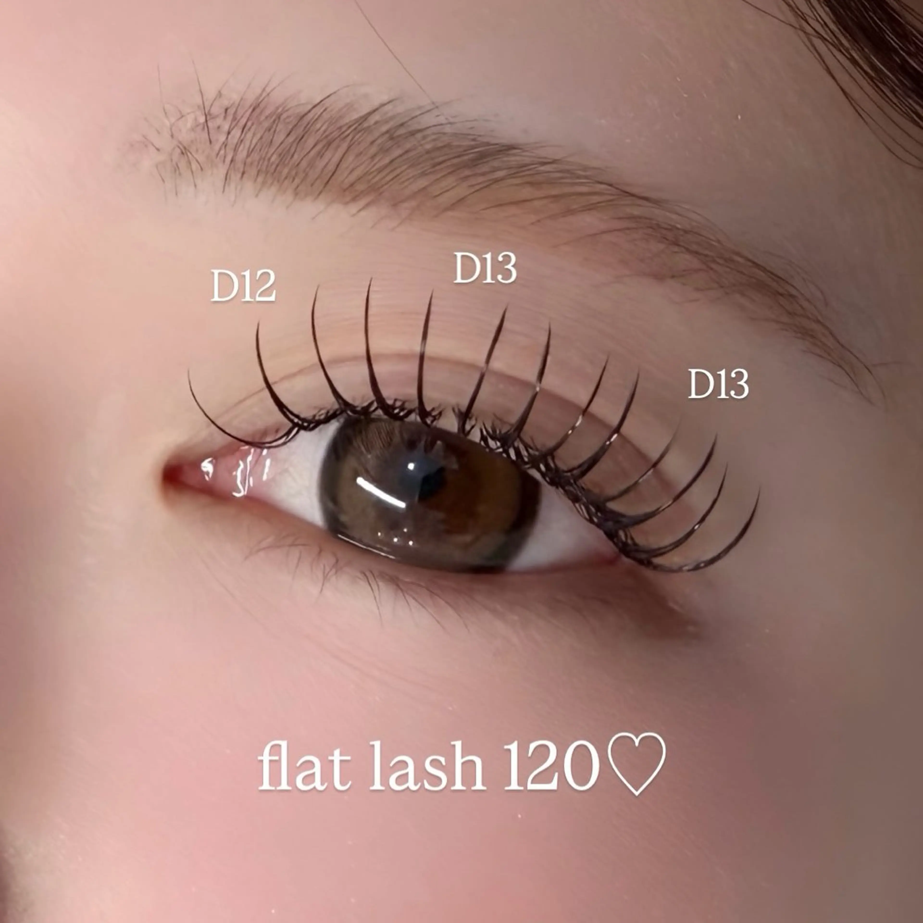 LEDフラットラッシュ100本(オフ可)の写真