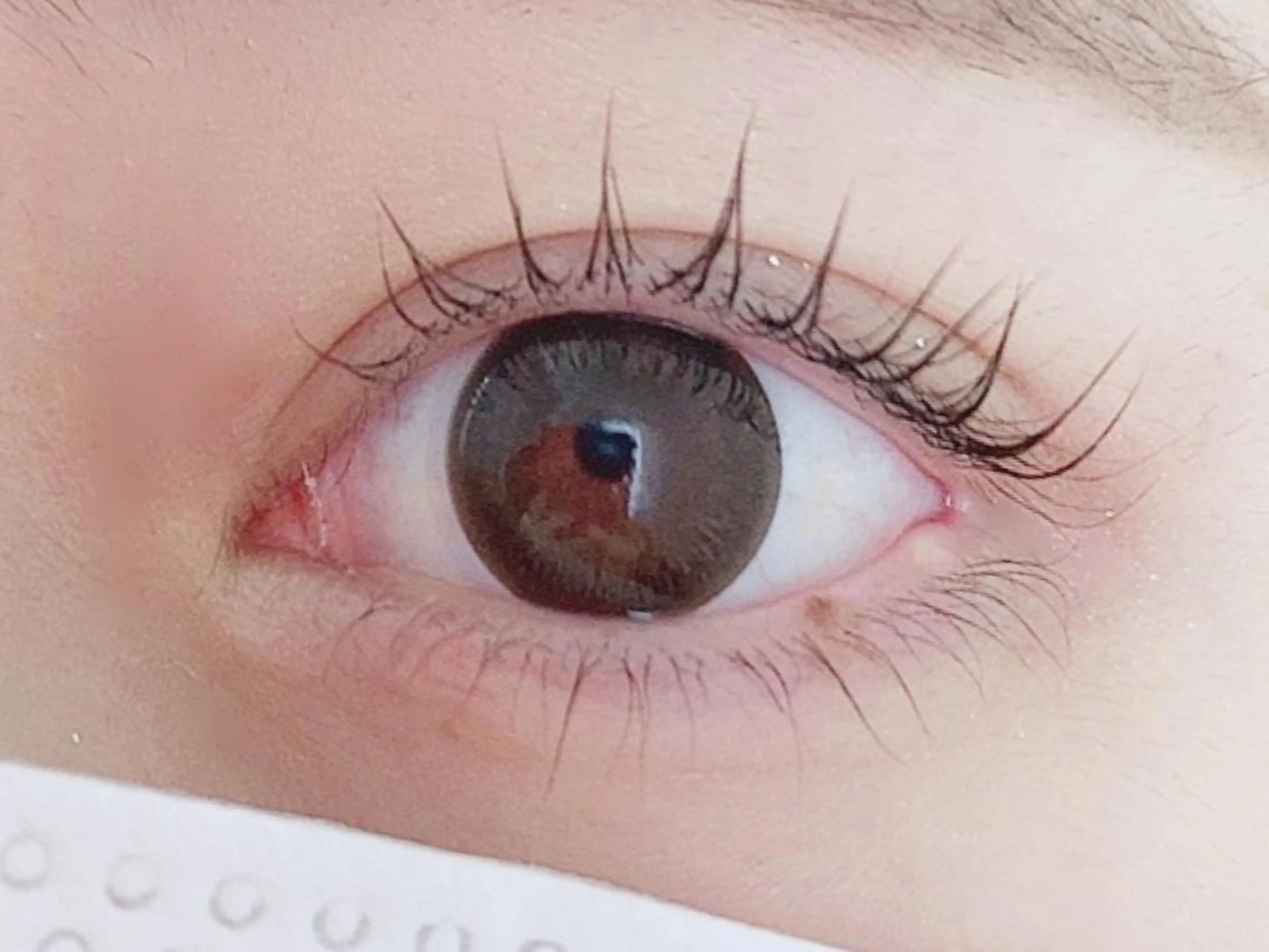 マツエク・マツパ マツパ トレヴァーデルチザン inuiのマツエク・マツパデザイン