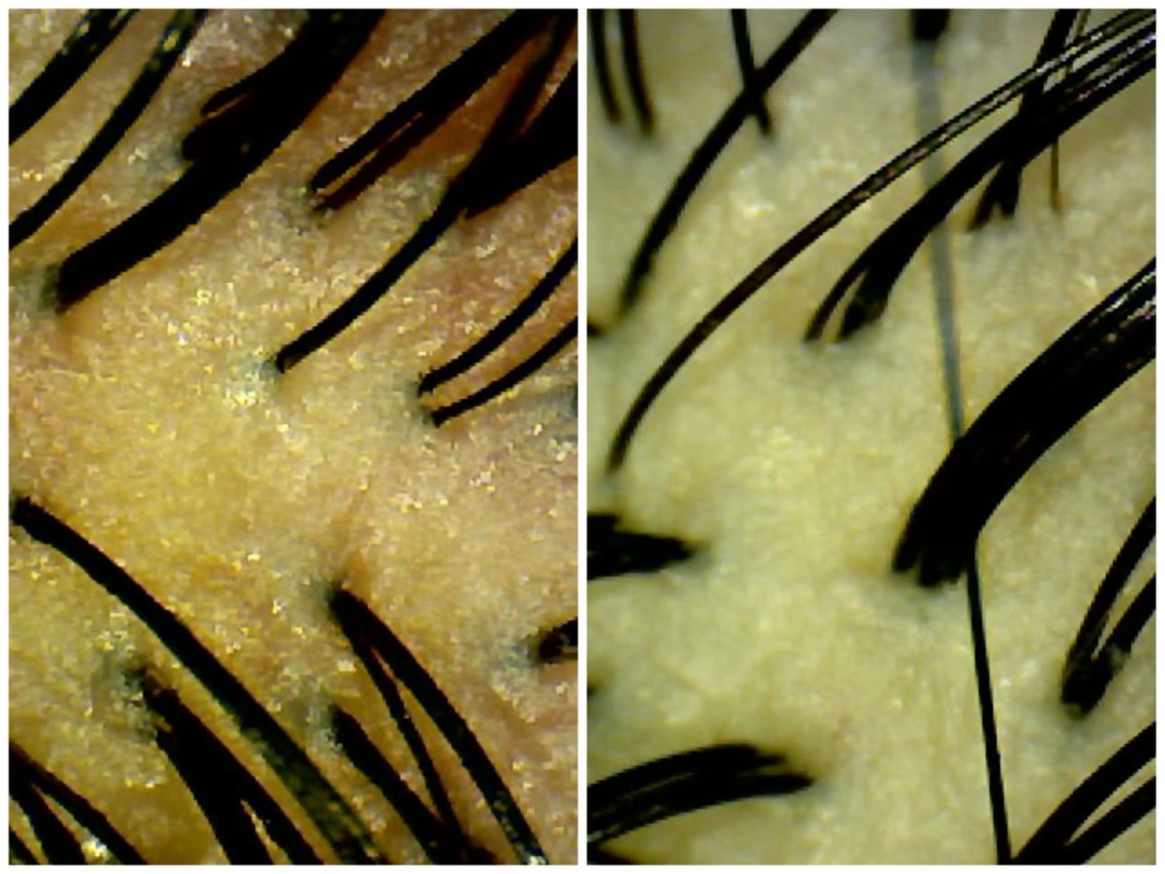 ヘッドスパ SERIOilo神楽坂店所属・神楽坂|ヘッドスパ |艶髪|松本あきほのヘアスタイル