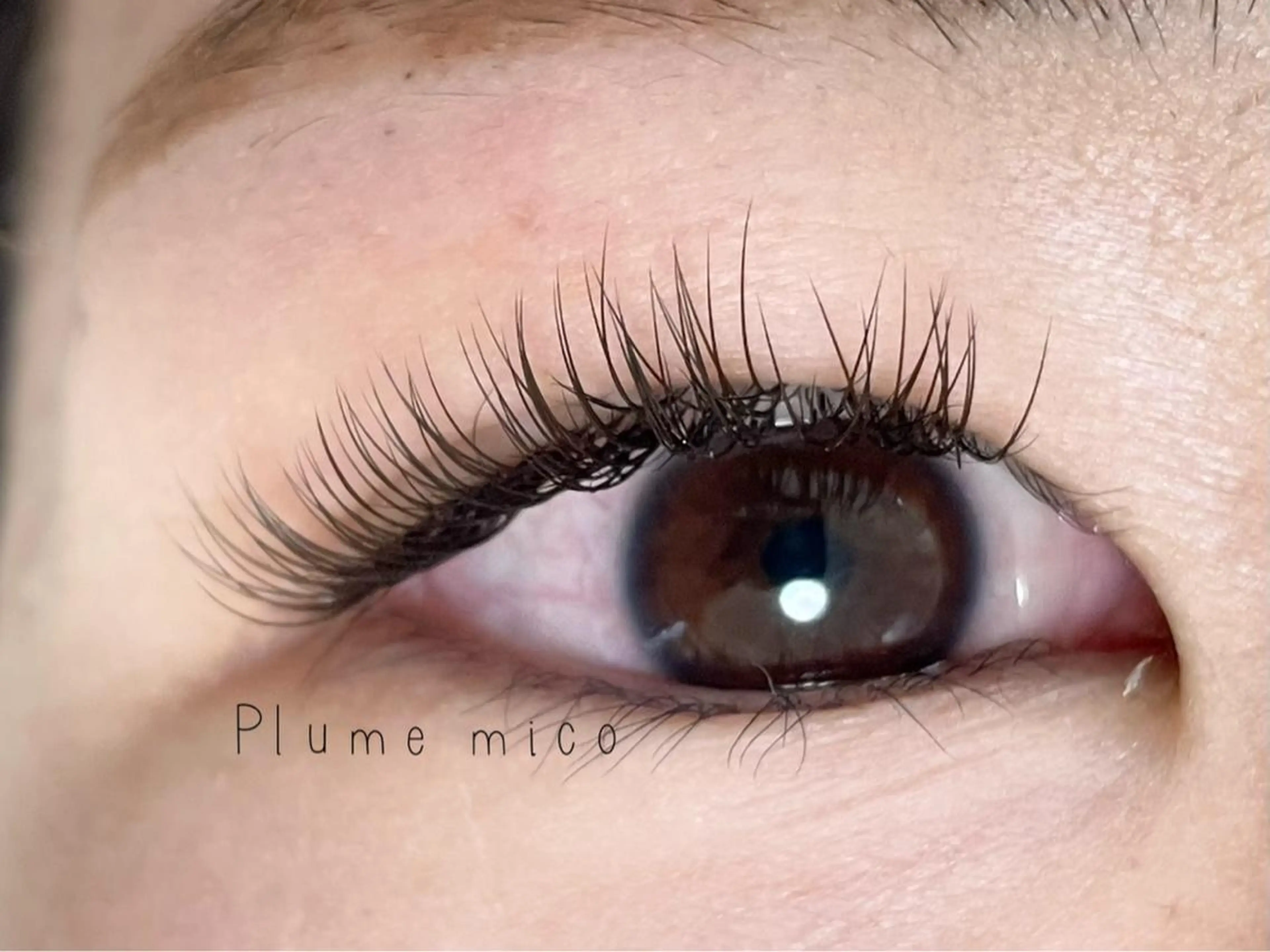 マツエク・マツパ カラーマツエク マツエク Plume micoのマツエク・マツパデザイン