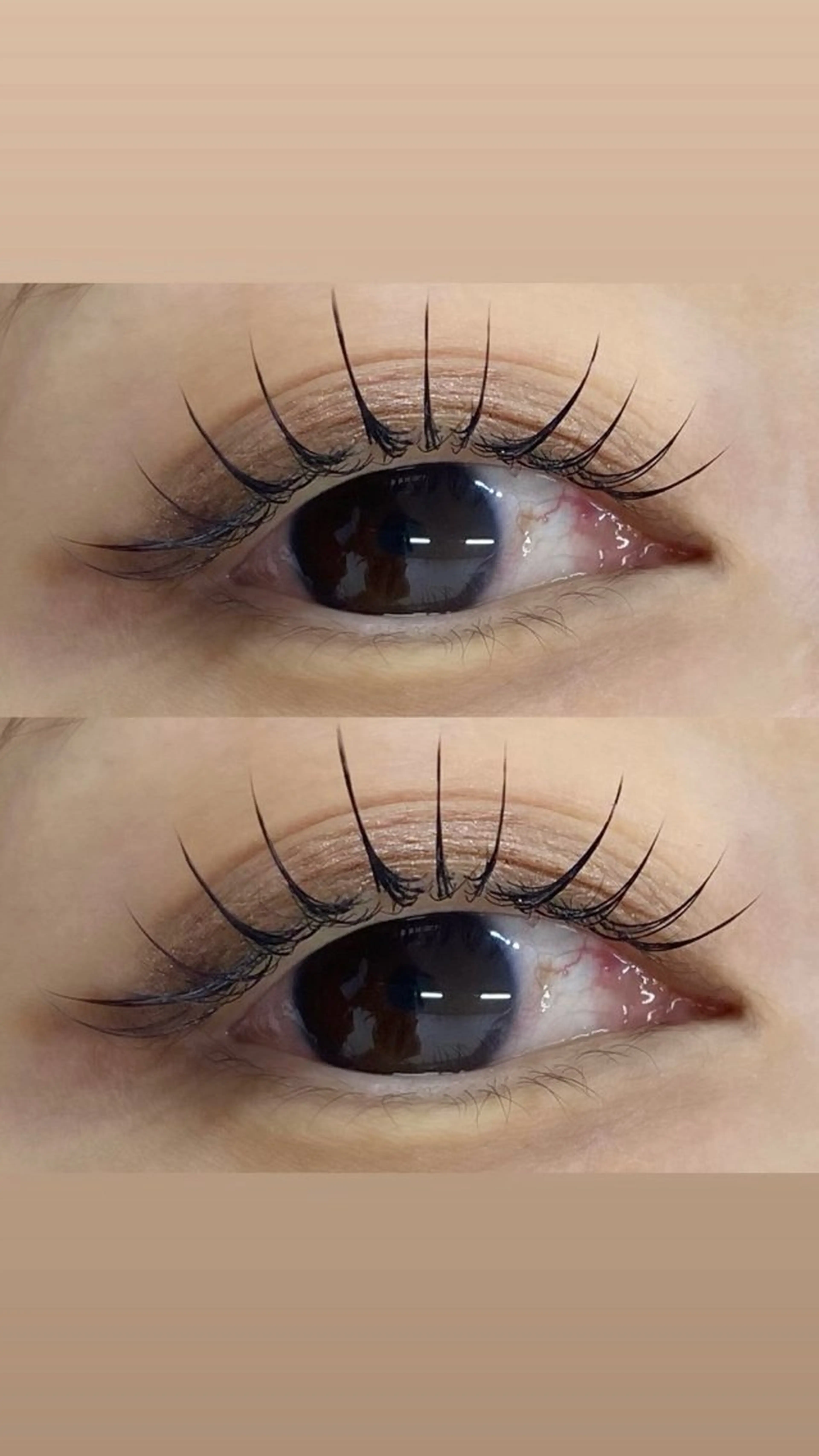 マツエク・マツパ キュート フラットラッシュ マツエク レアファースト樟葉店 ゆうかのマツエク・マツパデザイン