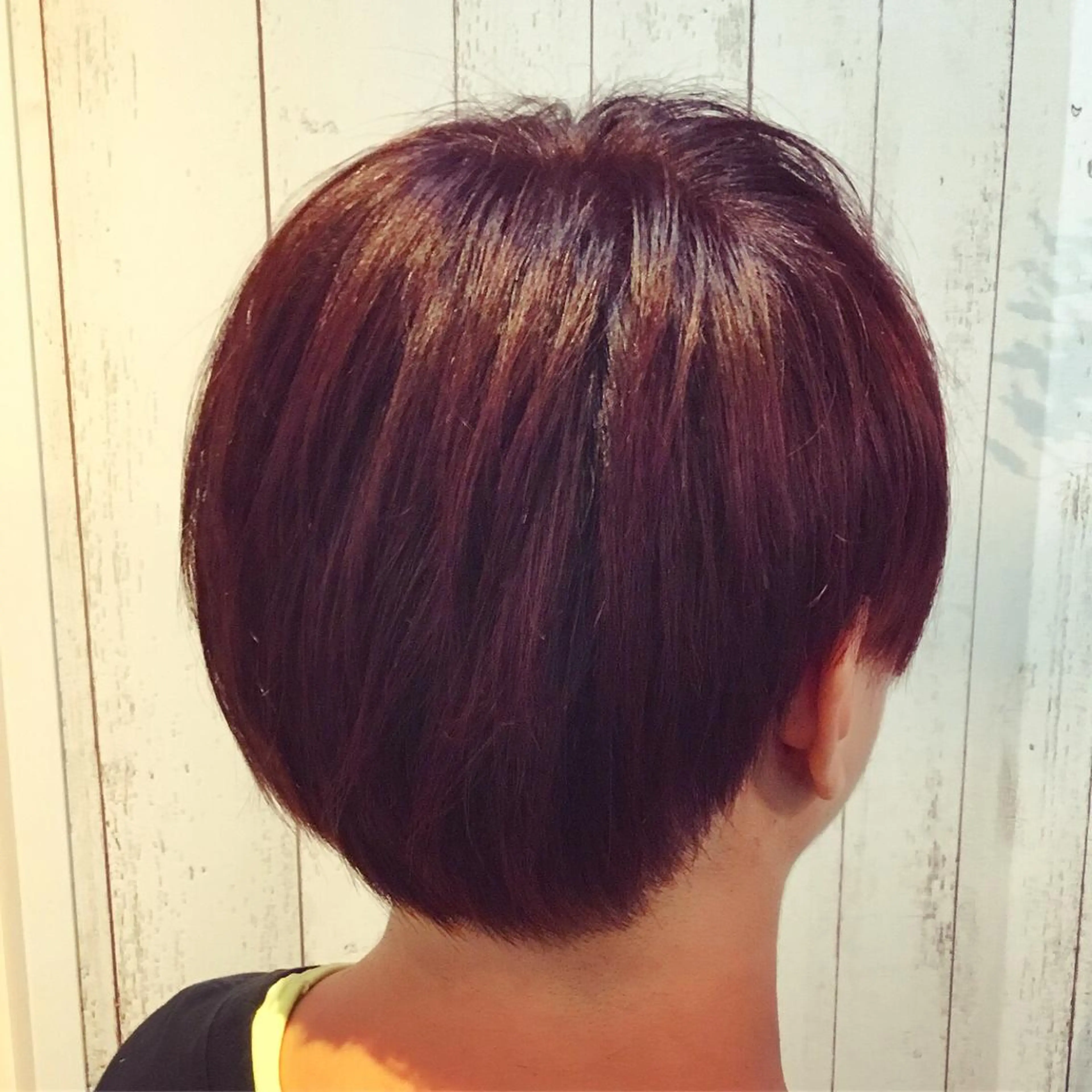 ショート カラー 金崎 新吾のヘアスタイル
