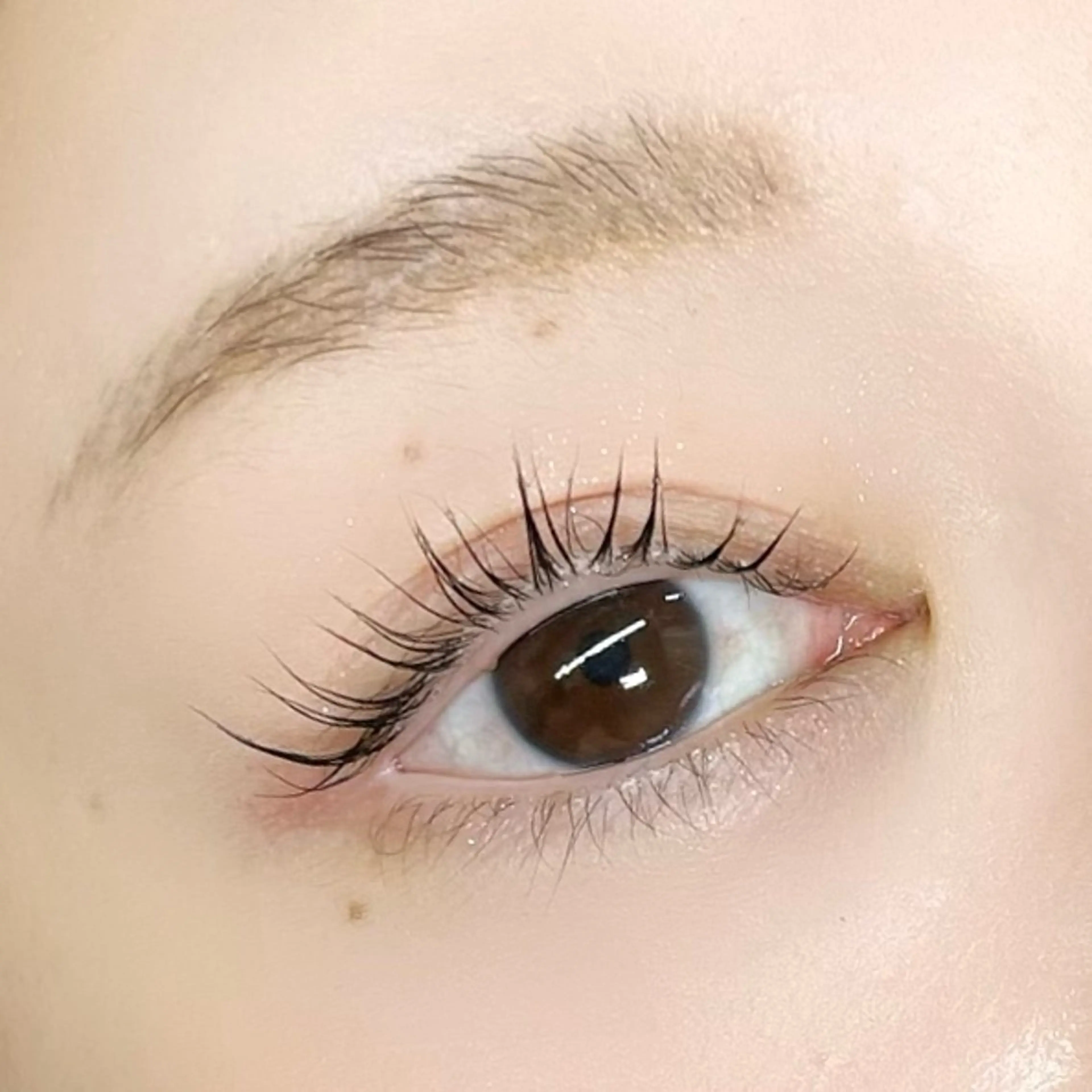 【春割🌸次世代マツパ◎パリジェンヌOK】まつ毛パーマ(上) ＋コーティング 通常¥5500→の写真