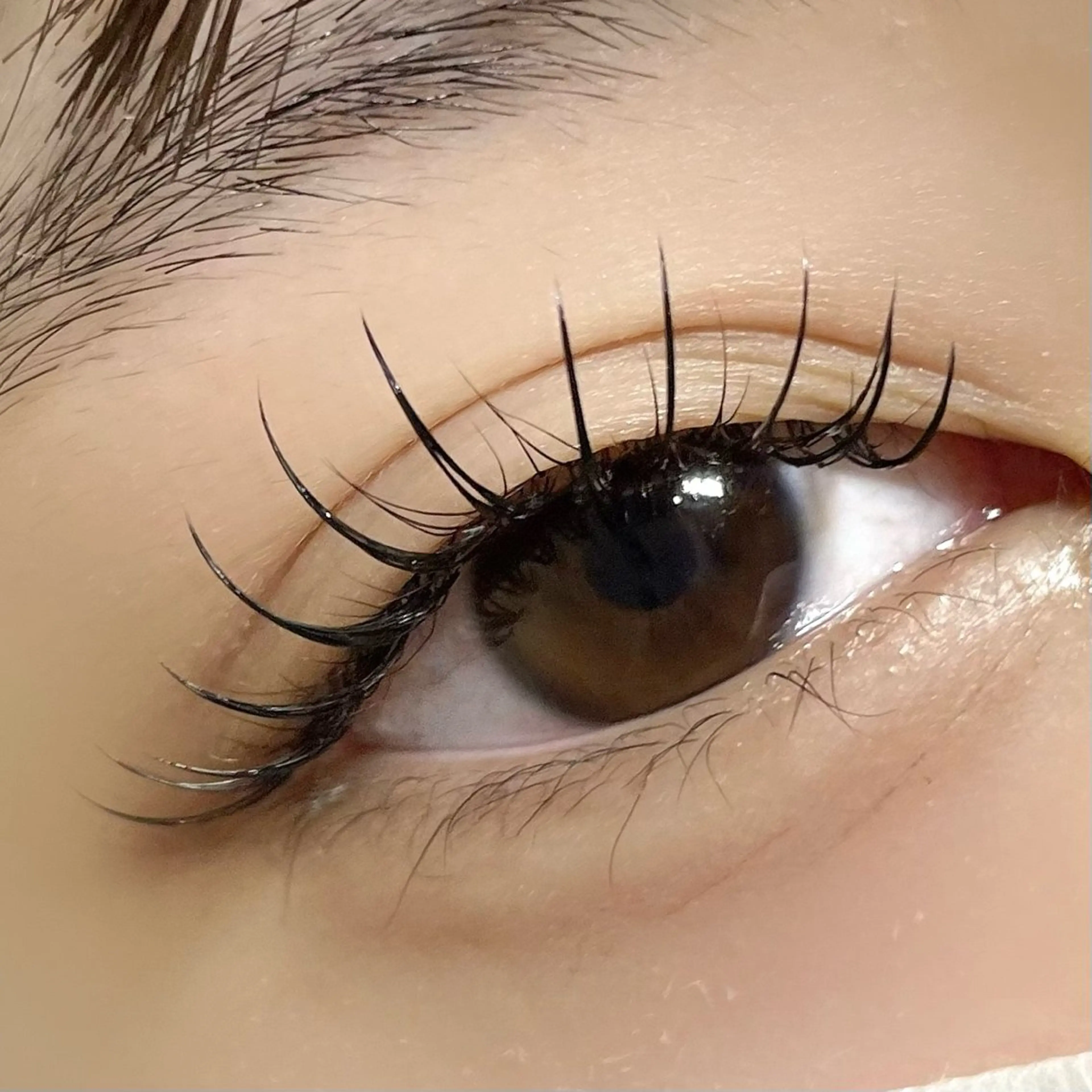 大人気‼️リフエク✨(ラッシュリフト✖️フラットラッシュ)120本まで👀🌿の写真