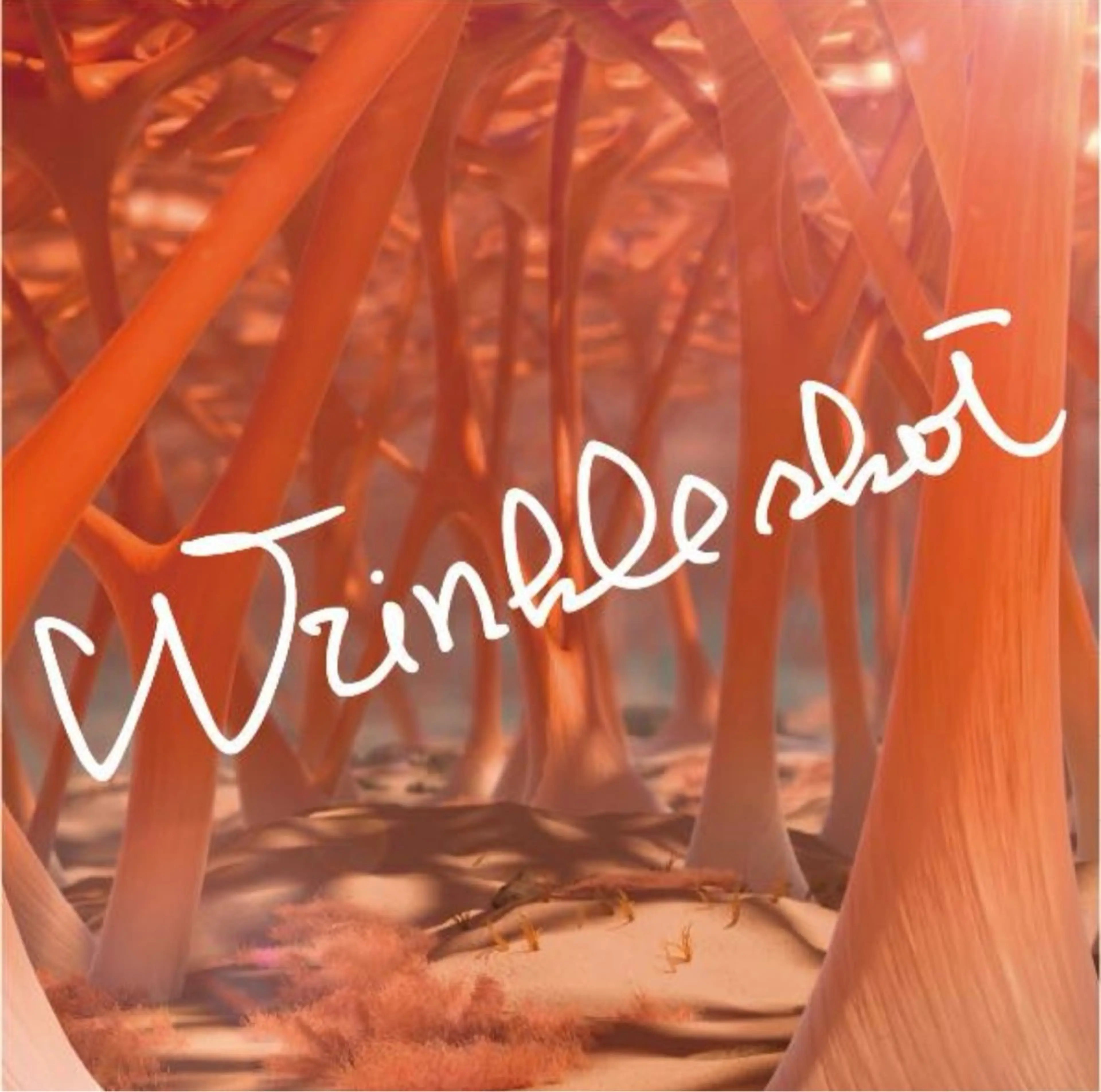 POLA THE BEAUTY 多治見けやき通り店所属・多治見店POLA 大島のエステ・リラクイメージ