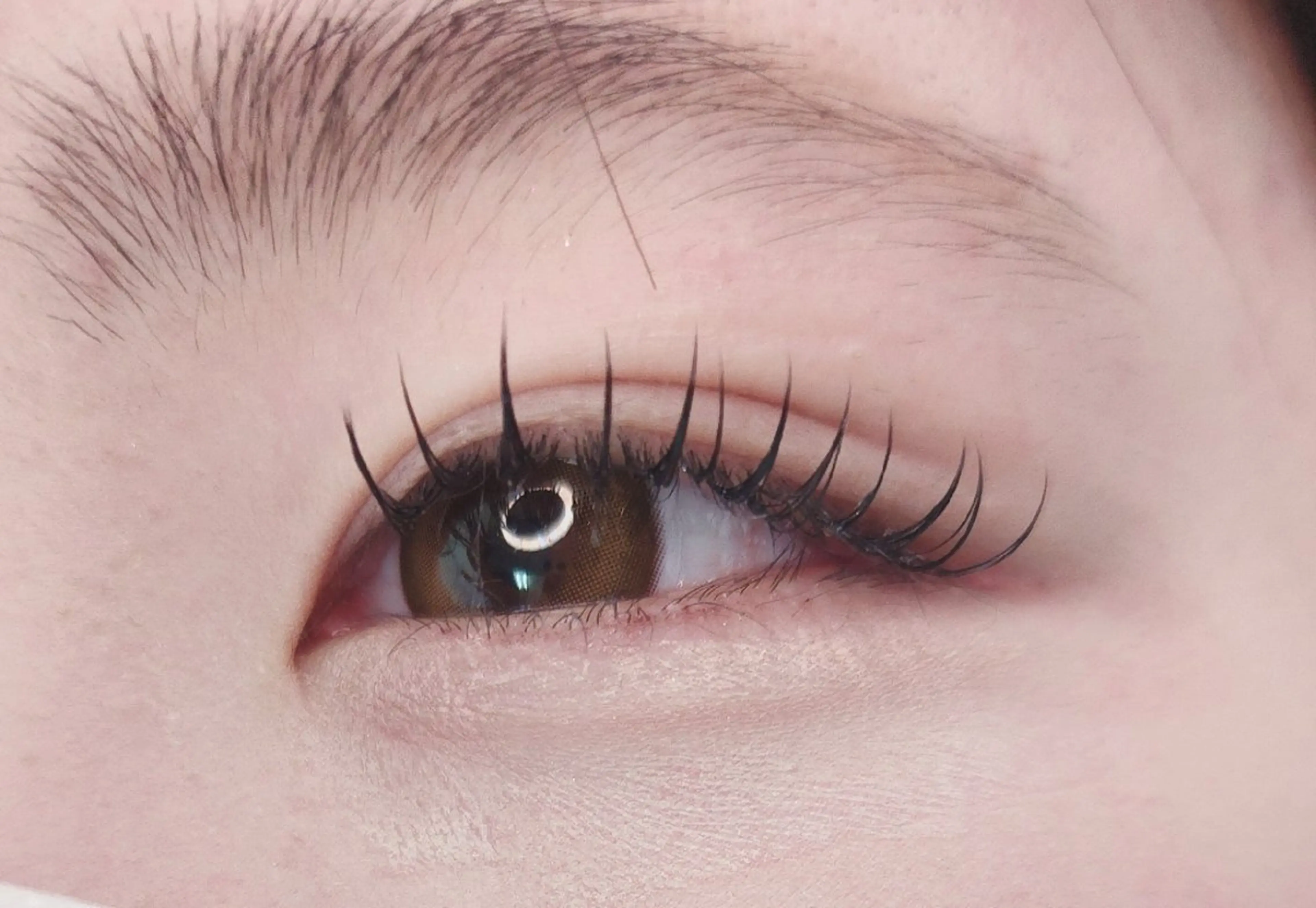 マツエク・マツパ マツエク E.m.u.. エミュのマツエク・マツパデザイン