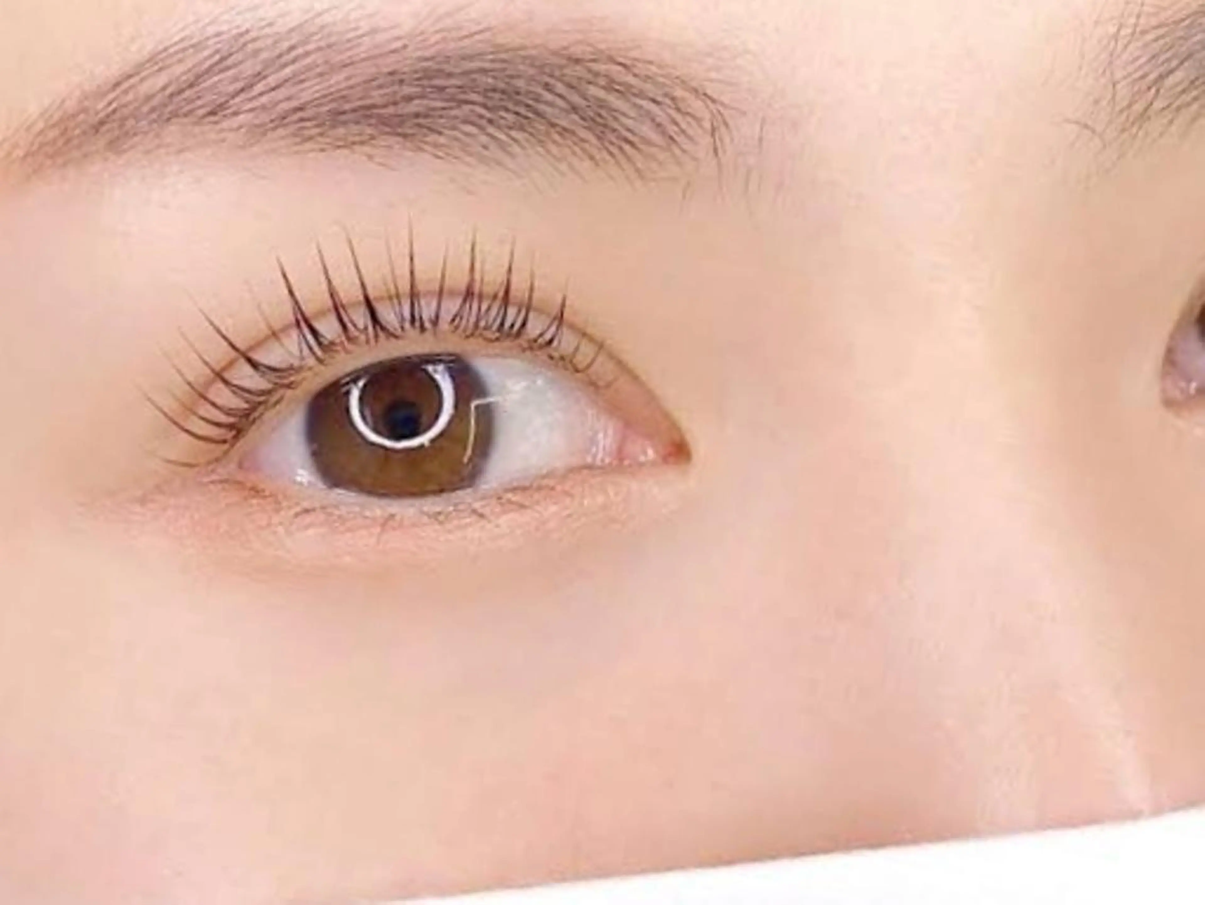 マツエク・マツパ アイブロウ やまとなでしこ💜 AYAのマツエク・マツパデザイン