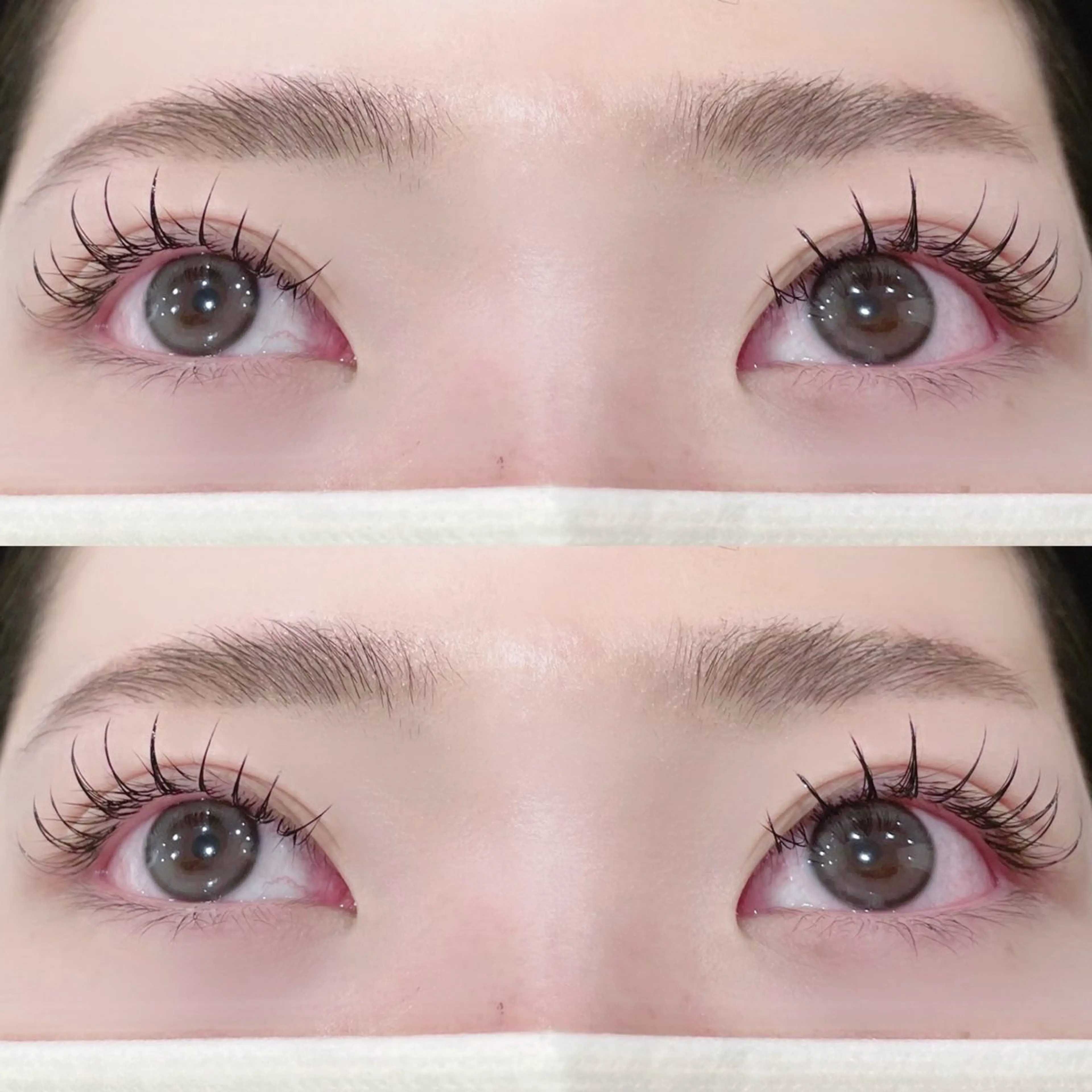 マツエク・マツパ CCカール Cカール フラットラッシュ Eye ELSA lash🤍東のマツエク・マツパデザイン