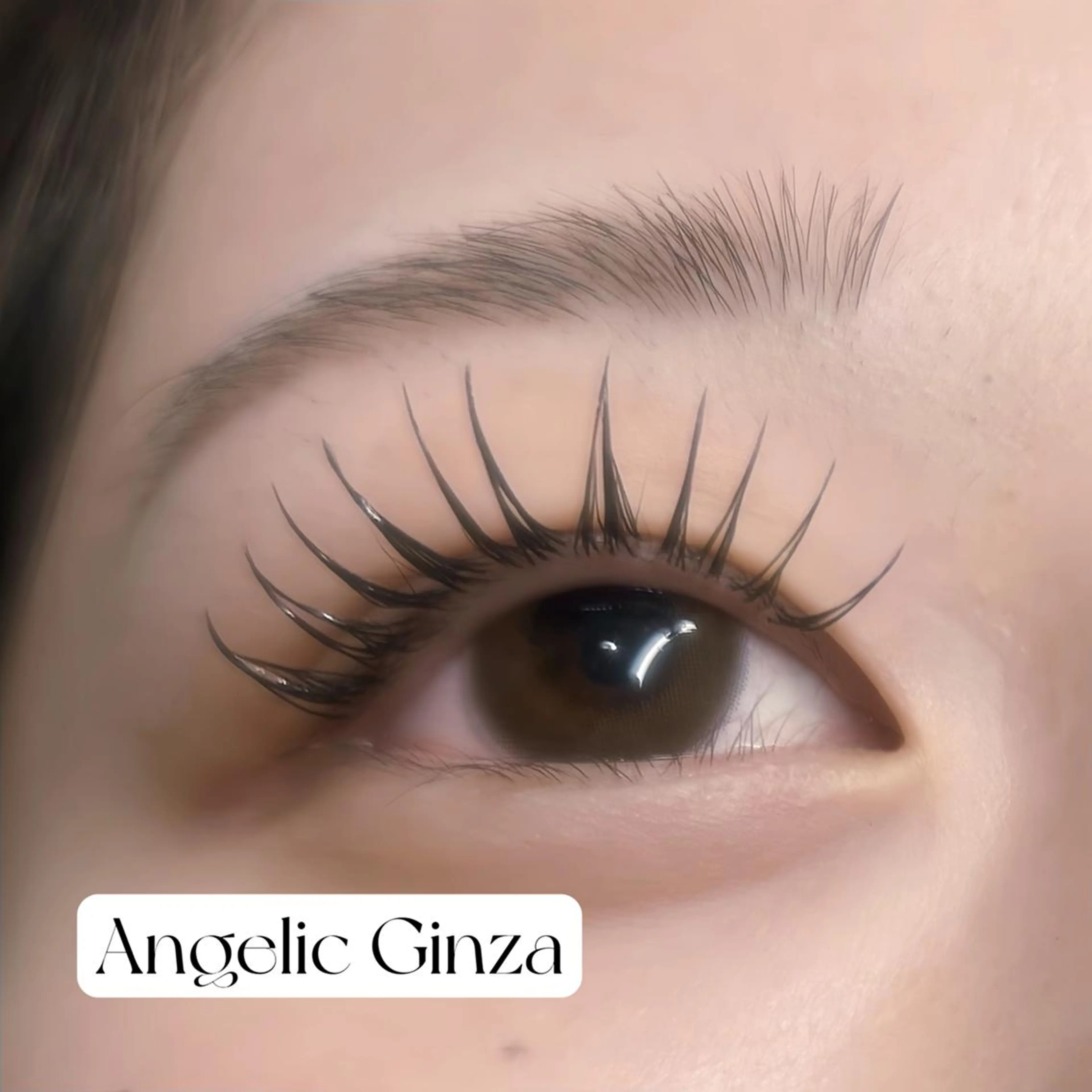 マツエク・マツパ Angelic Ginza♥🧸のマツエク・マツパデザイン