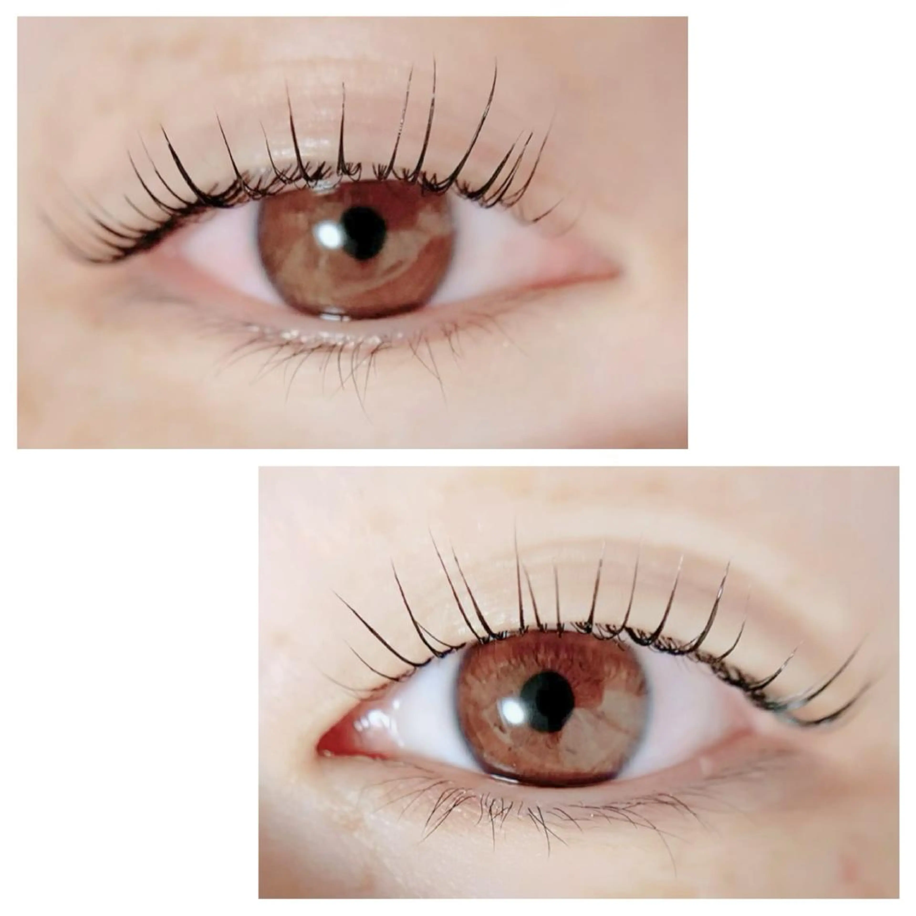 マツエク・マツパ Adorer 🍀アドレ🍀のマツエク・マツパデザイン