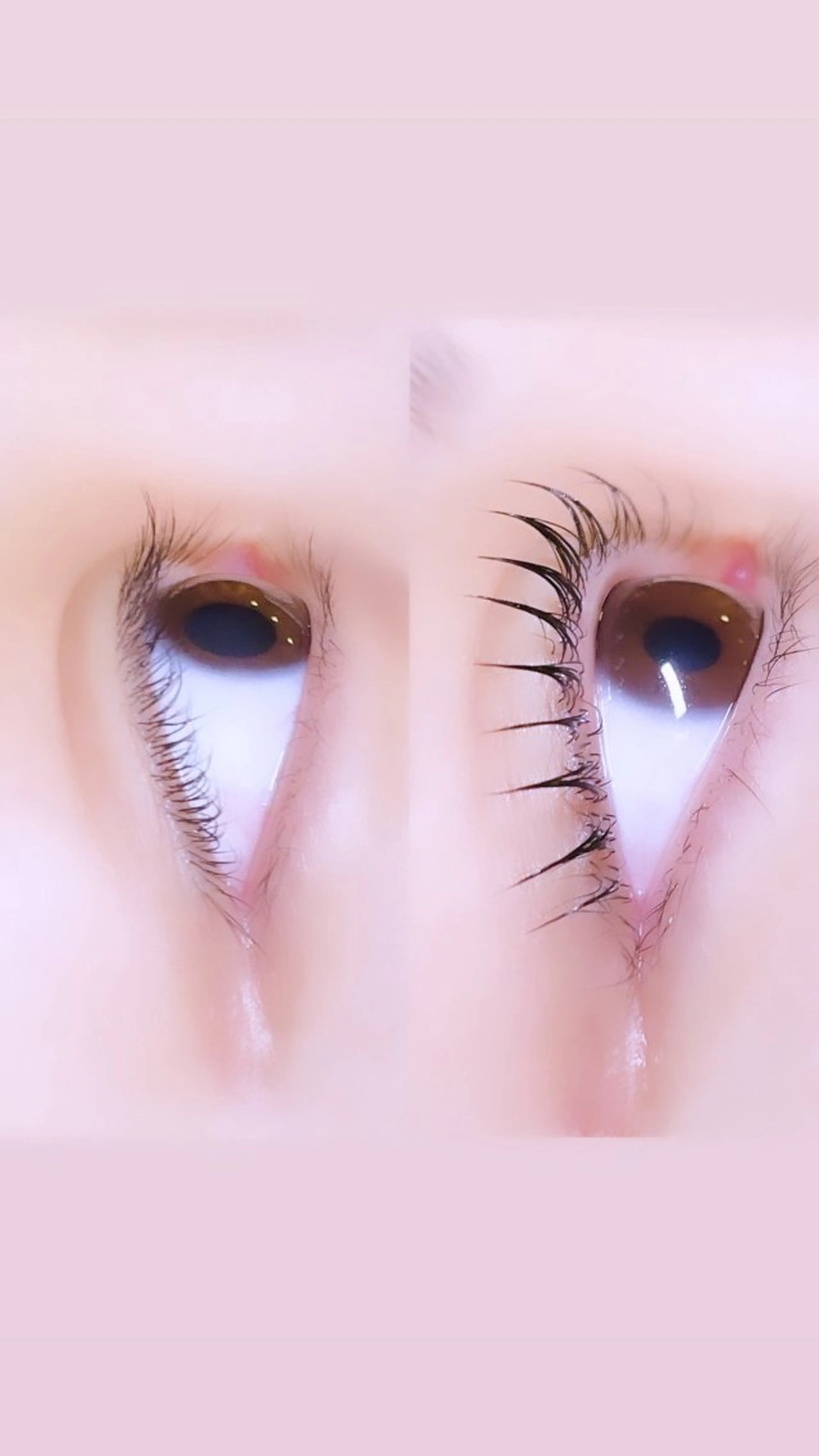 マツエク・マツパ ロニセラ アイラッシュのマツエク・マツパデザイン