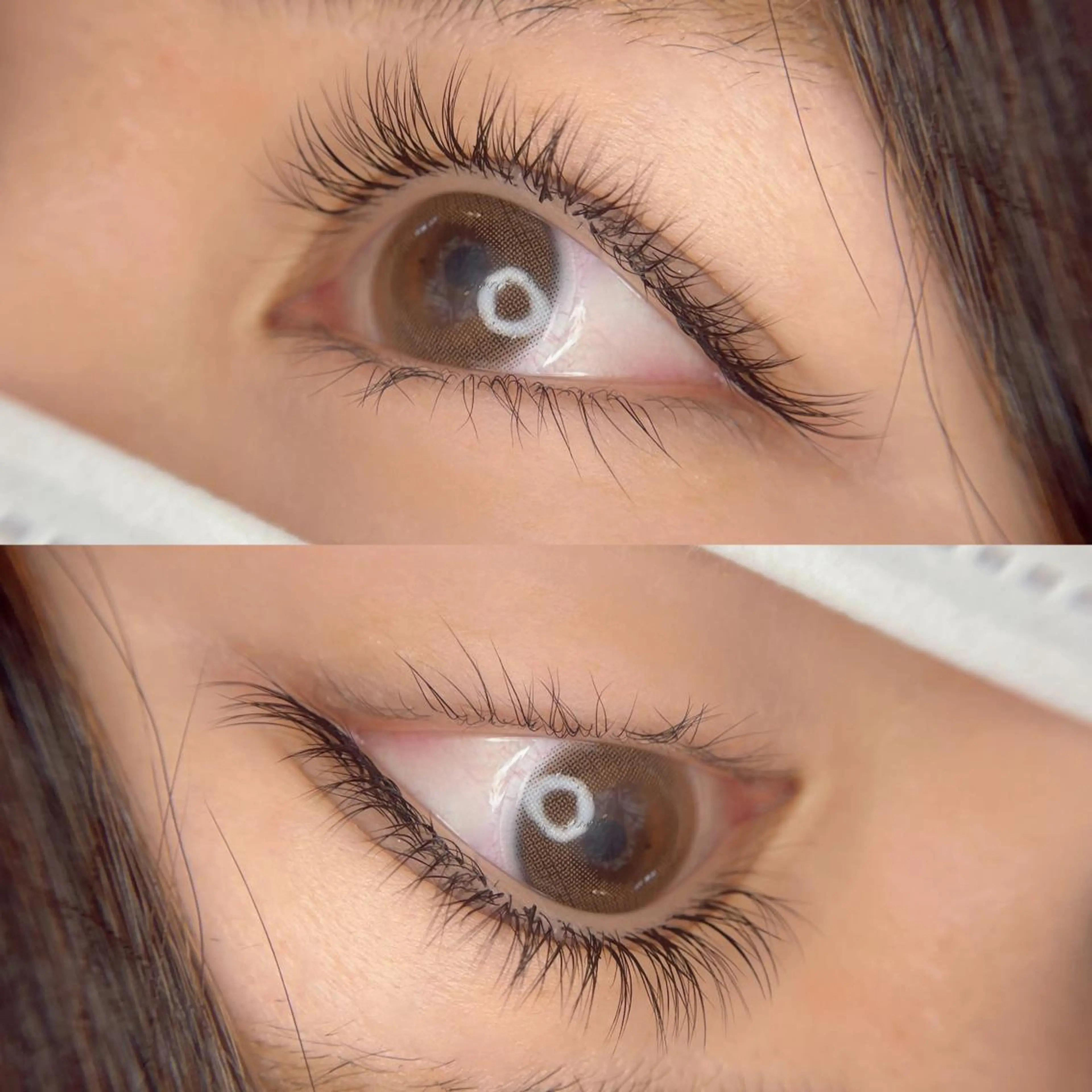 3Dボリュームラッシュ【100束】オフなし🌟 アイケア付き◎ブラウン変更可能の写真