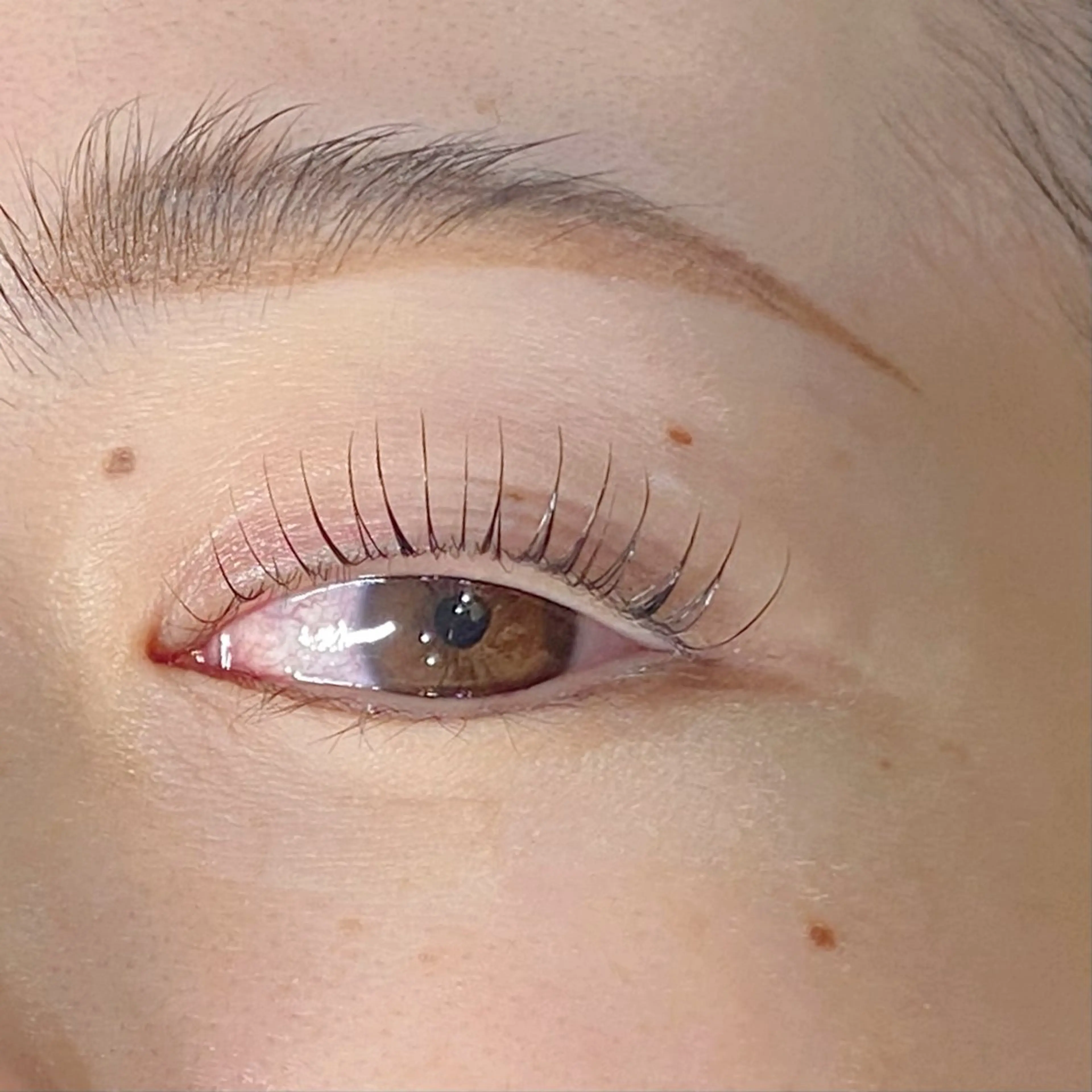 マツエク・マツパ まつげパーマ 🌼 Manami /自由が丘 🌼のマツエク・マツパデザイン