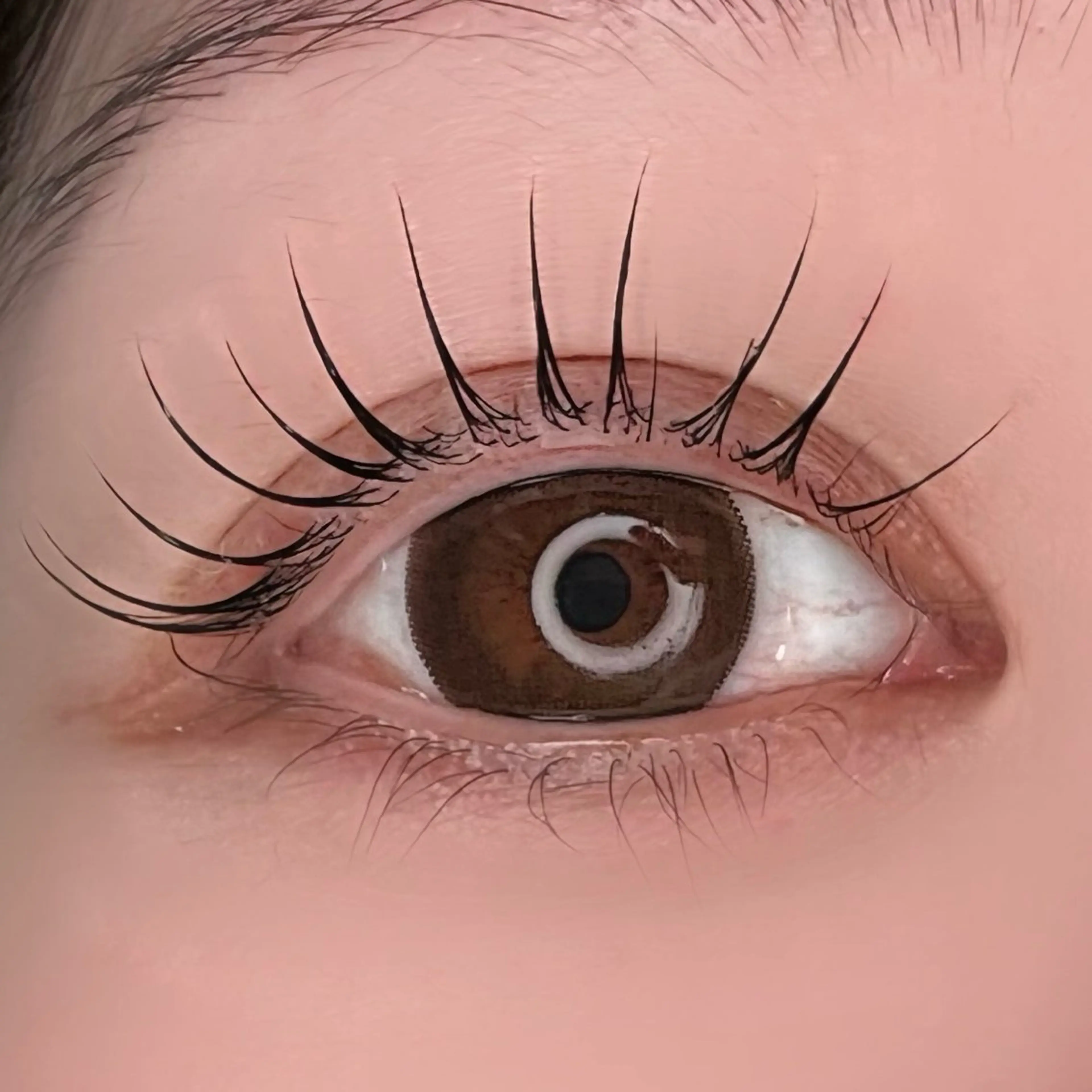 マツエク・マツパ 垢抜け眉WAX専門 ちゅるんまつげ|鎌倉の眉毛・アイブロウイメージ