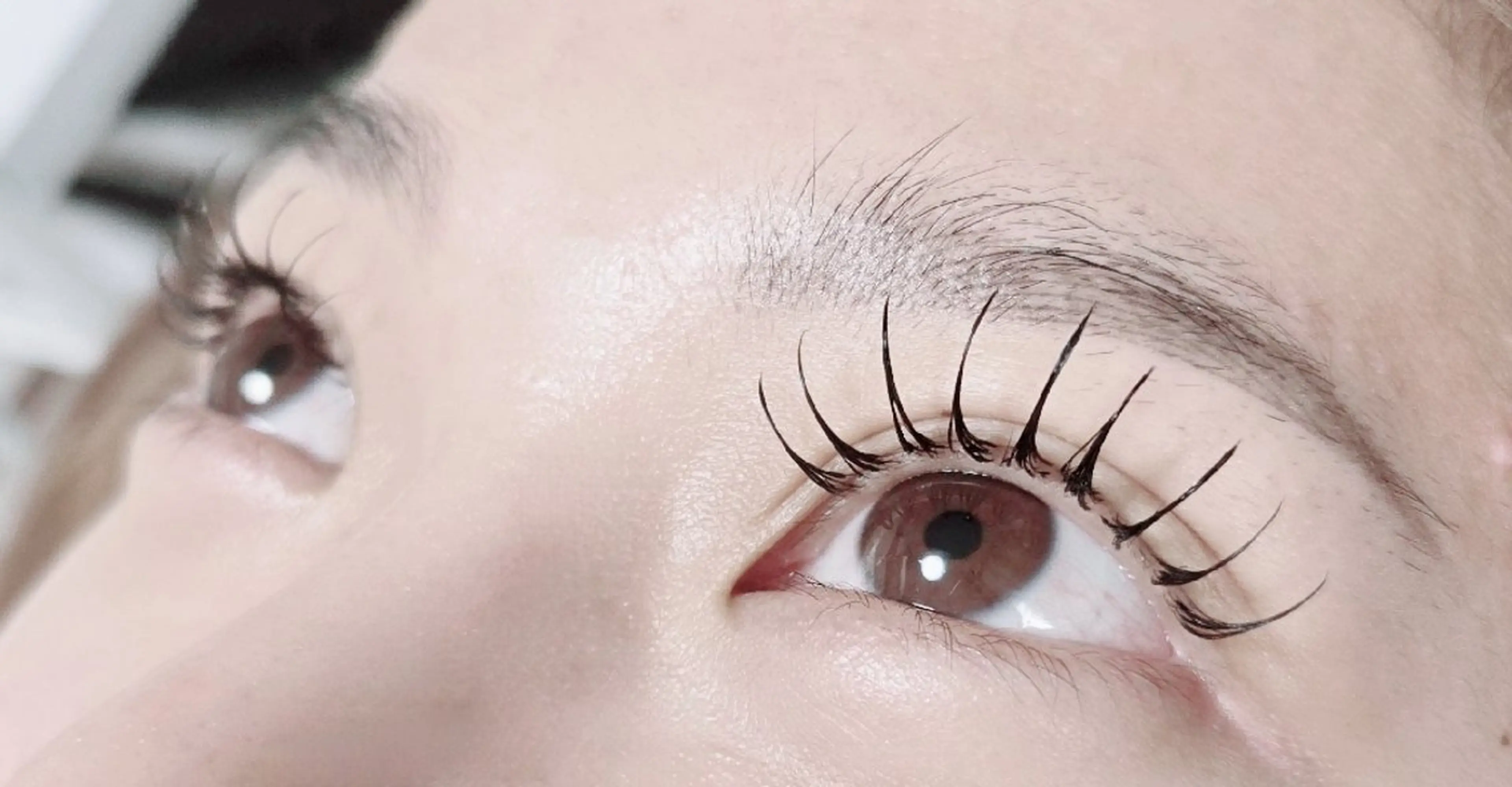 マツエク・マツパ Cカール マツエク EyelashSalon chel所属・新越谷駅徒歩1分❇️ Salon chelのマツエク・マツパデザイン